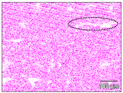 Metals 12 00950 i004