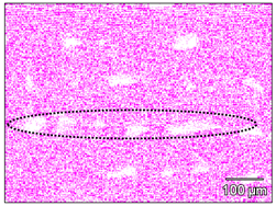 Metals 12 00950 i005