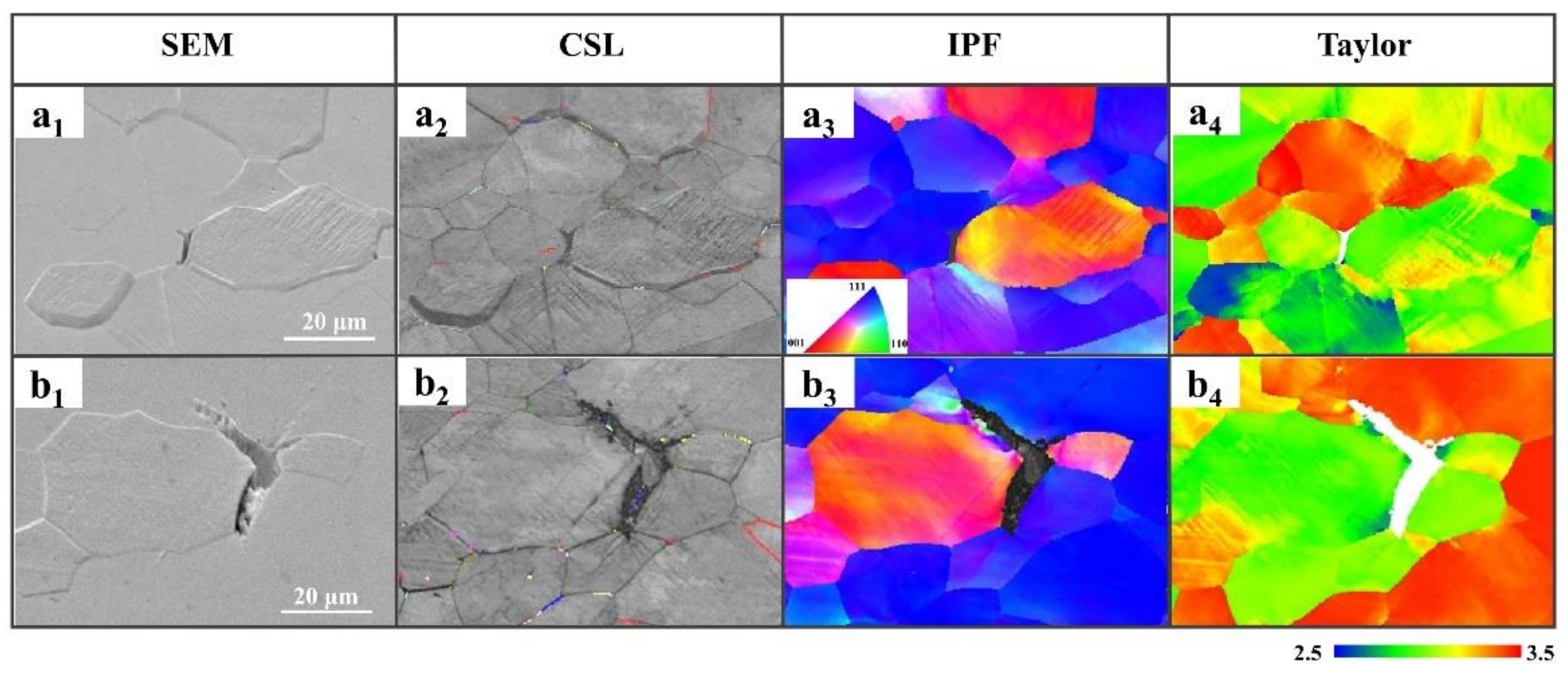 Metals 12 00981 g008