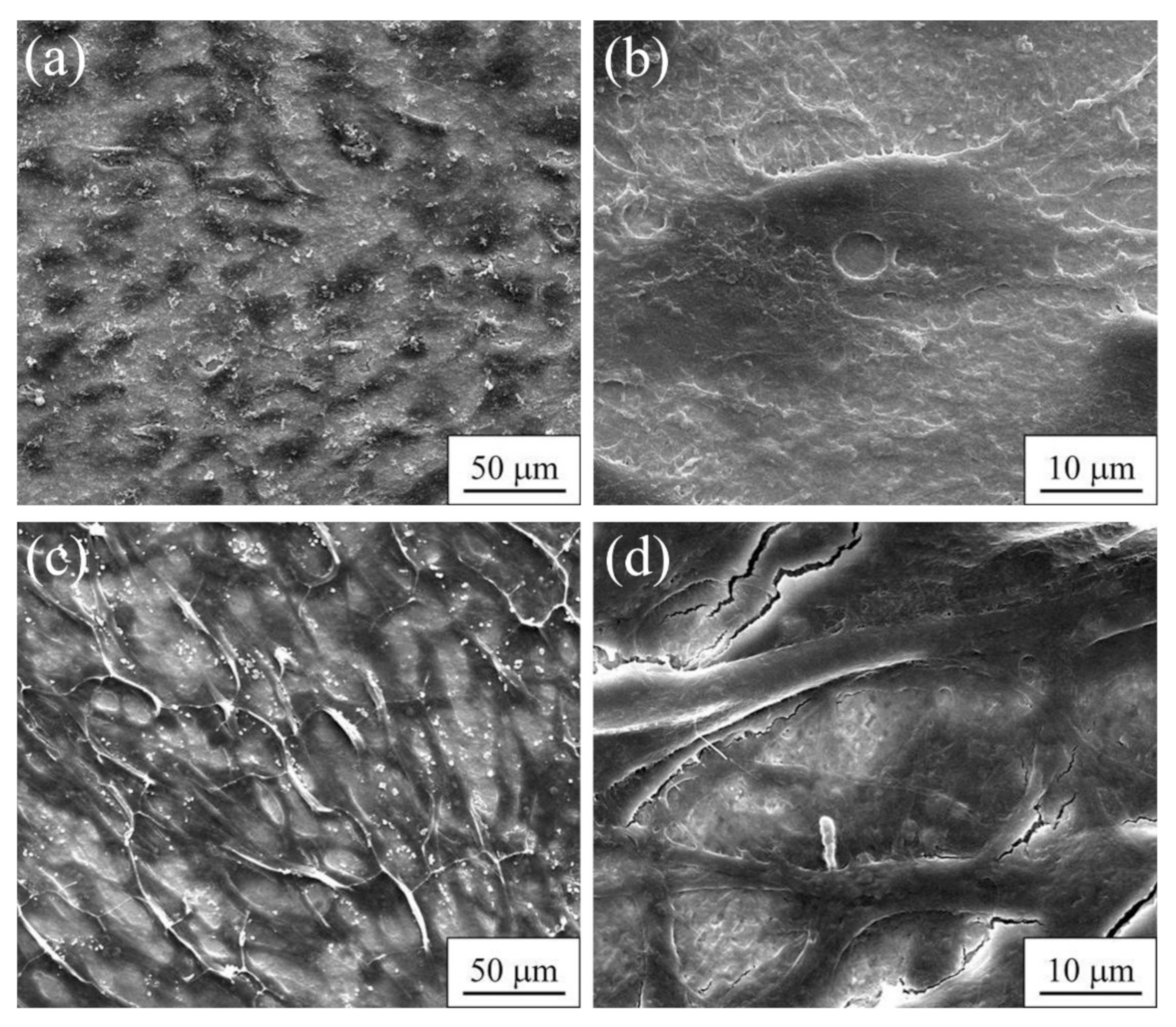 Metals 12 01136 g021 Metals 12 01136 g021
