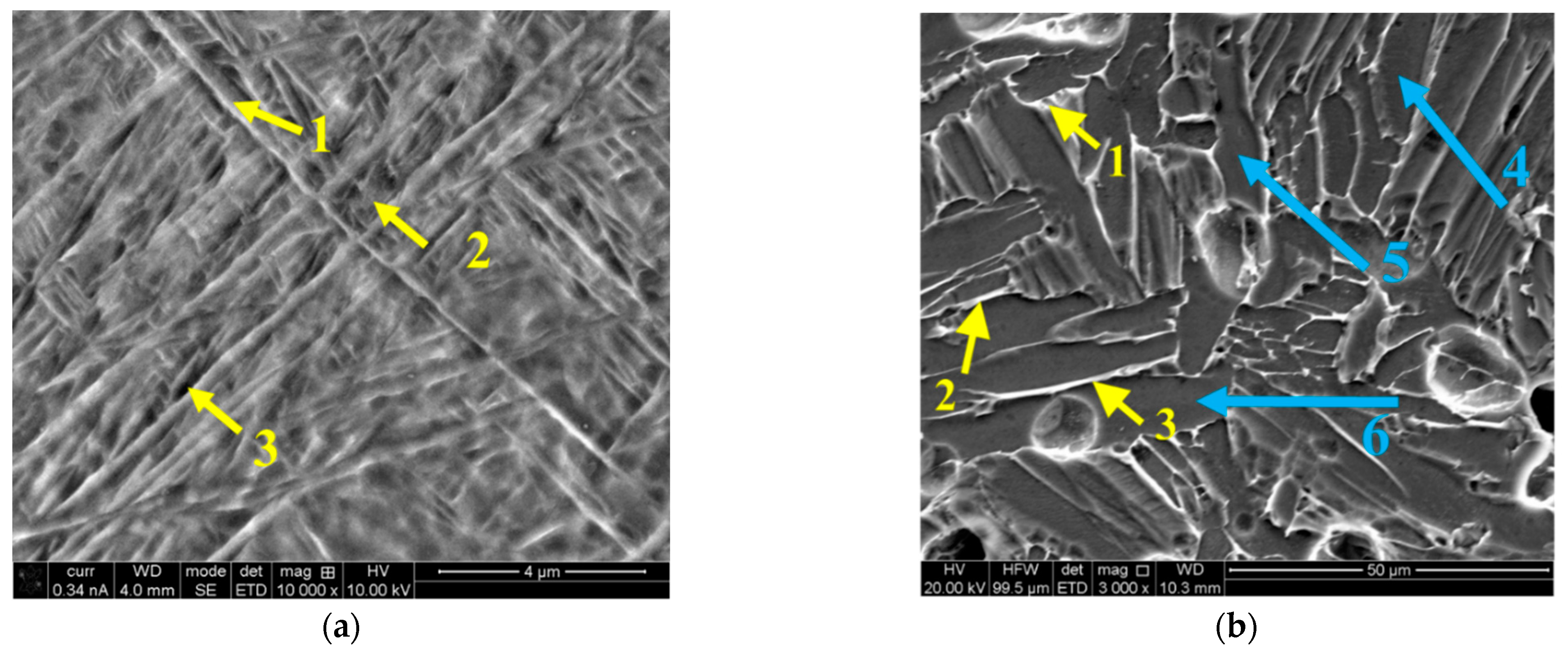 Metals 12 01462 g007b