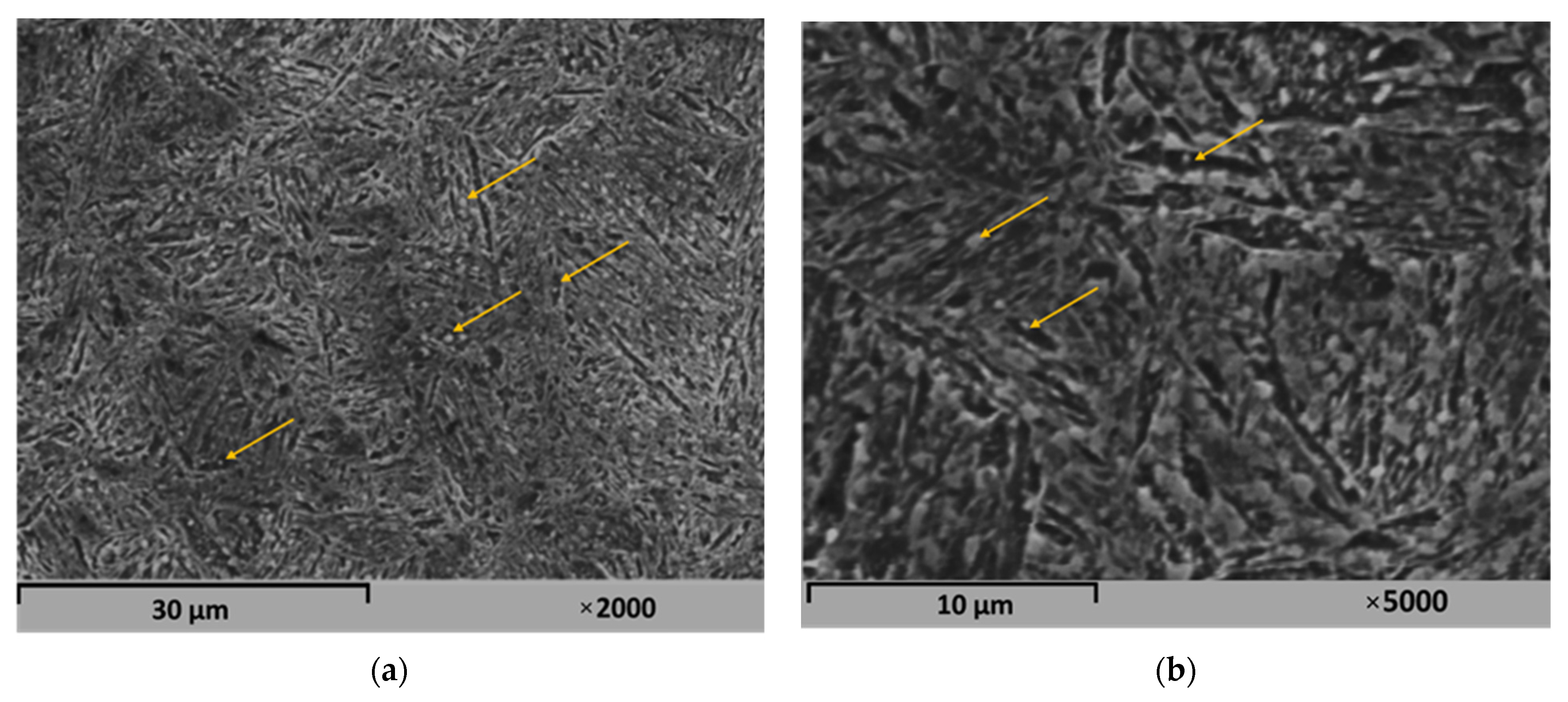 Metals 12 01501 g003a