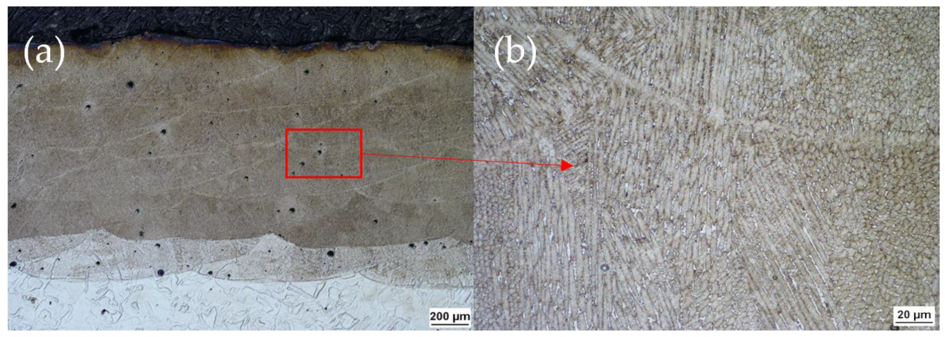 Metals 12 01669 g010