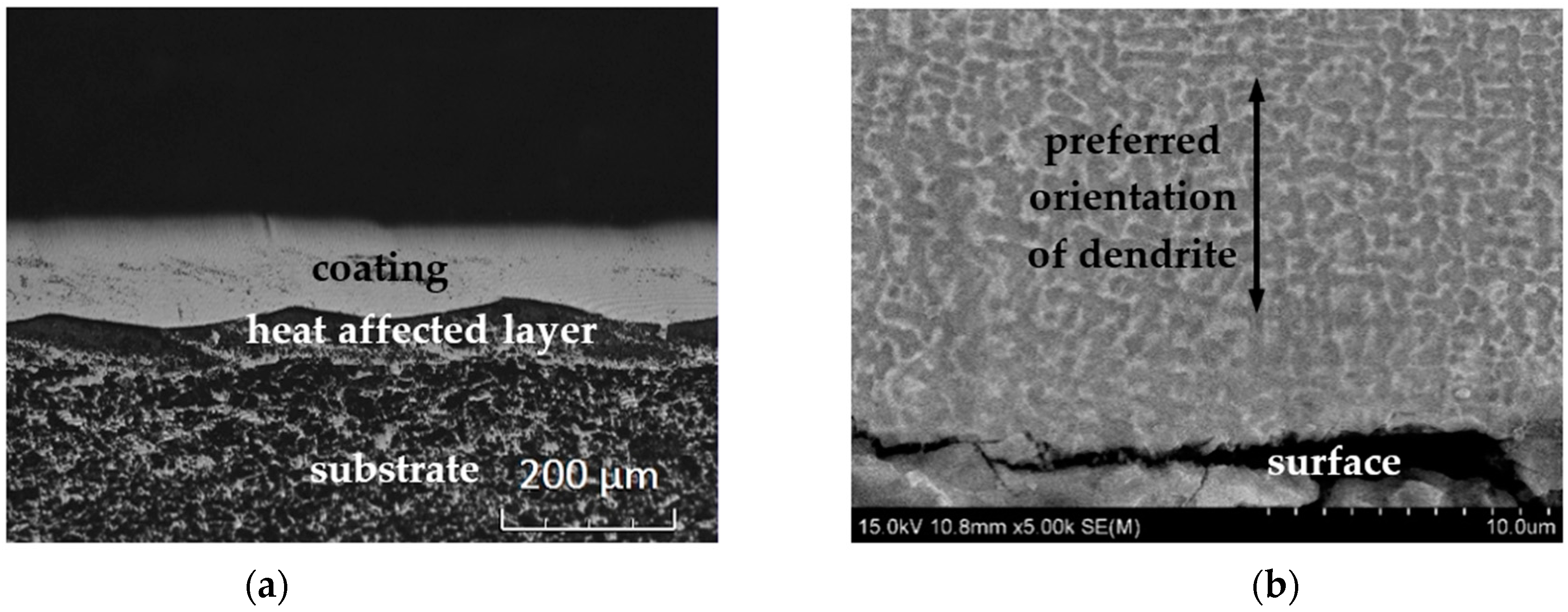 Metals 12 01686 g001