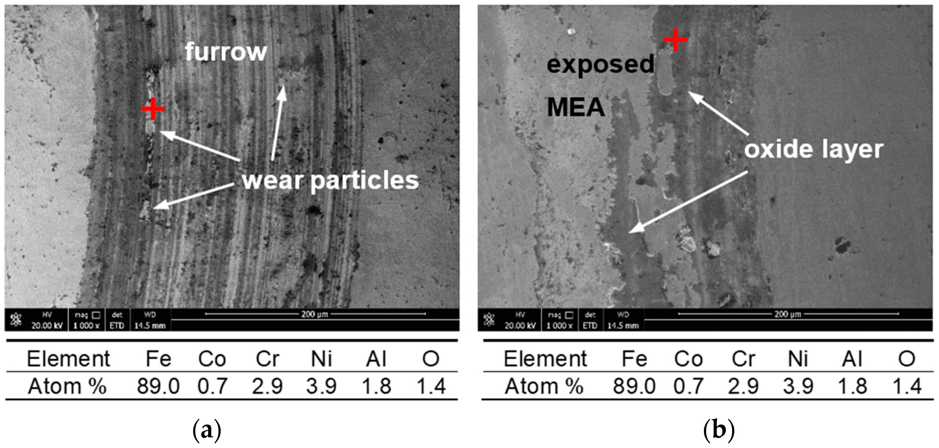 Metals 12 01686 g010