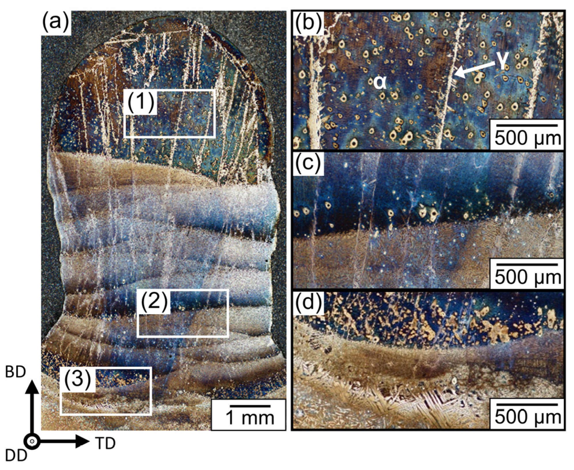 Metals 12 01731 g002 Metals 12 01731 g002