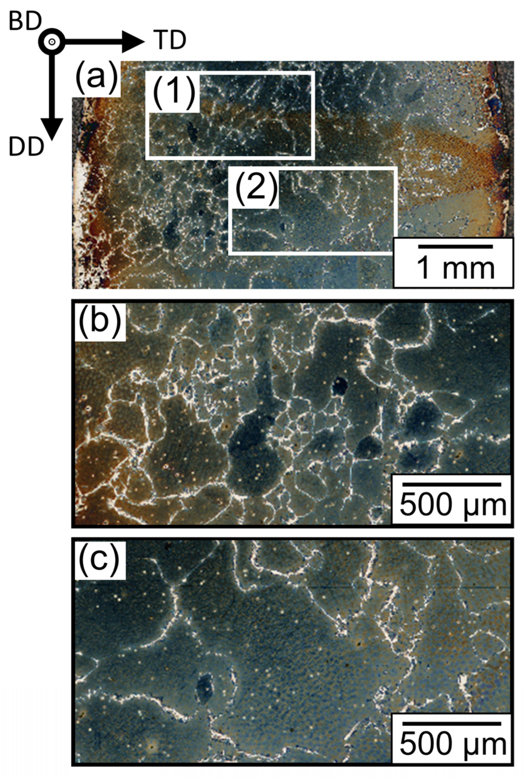 Metals 12 01731 g004 Metals 12 01731 g004
