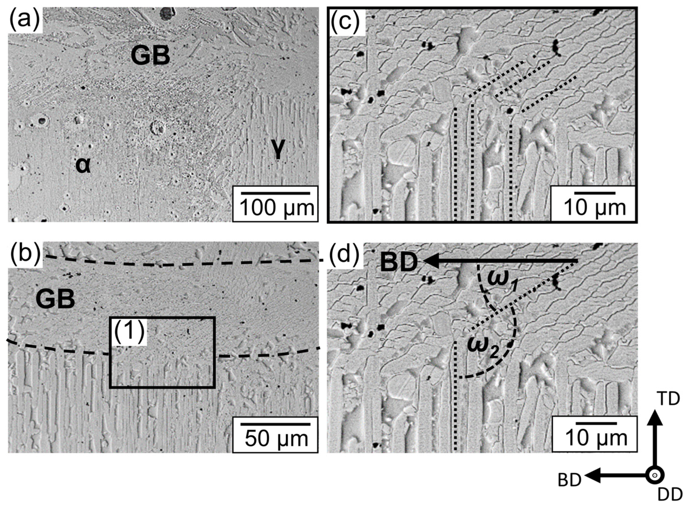 Metals 12 01731 g005 Metals 12 01731 g005