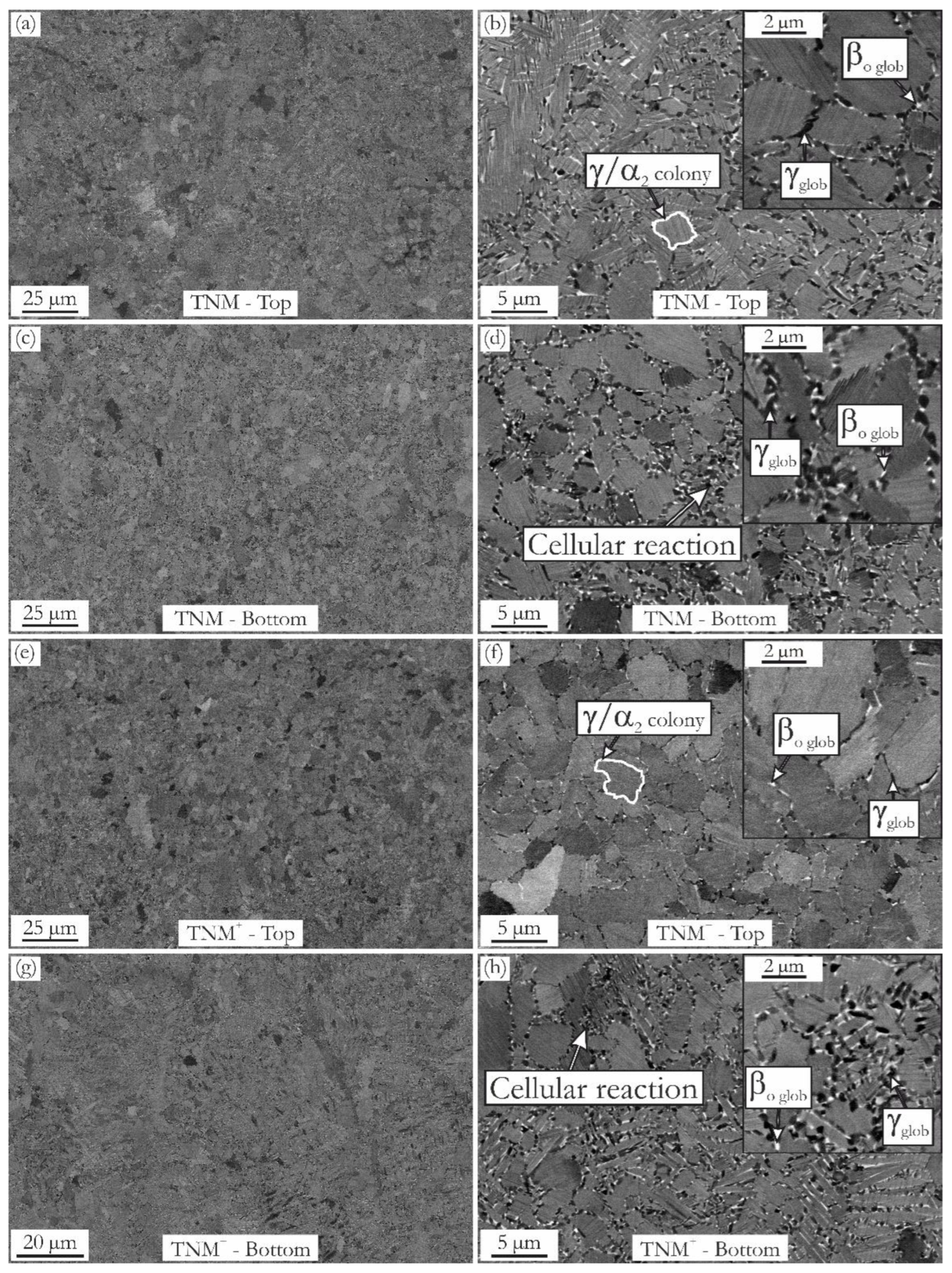 Metals 12 02087 g003