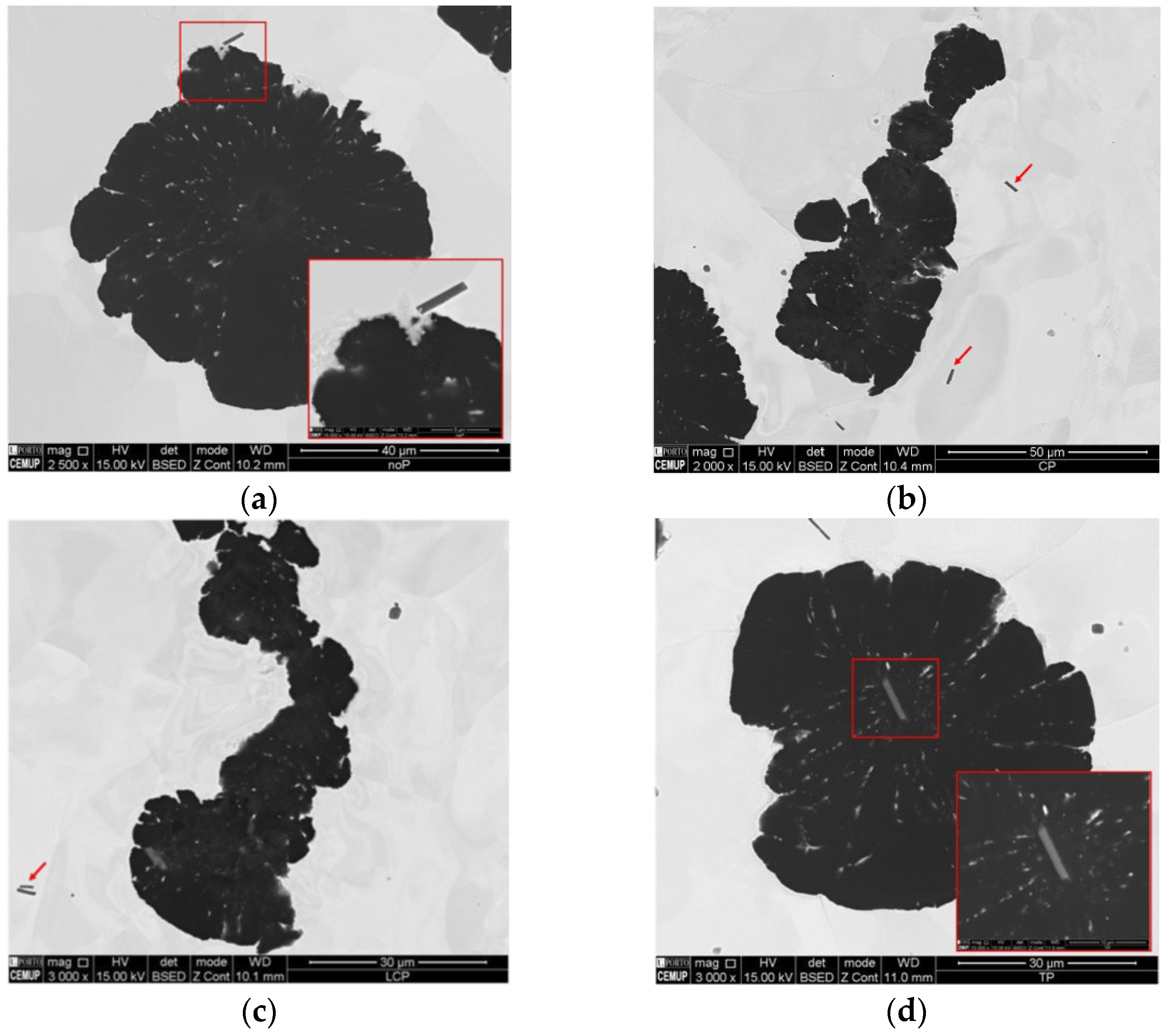 Metals 13 00005 g006 Metals 13 00005 g006