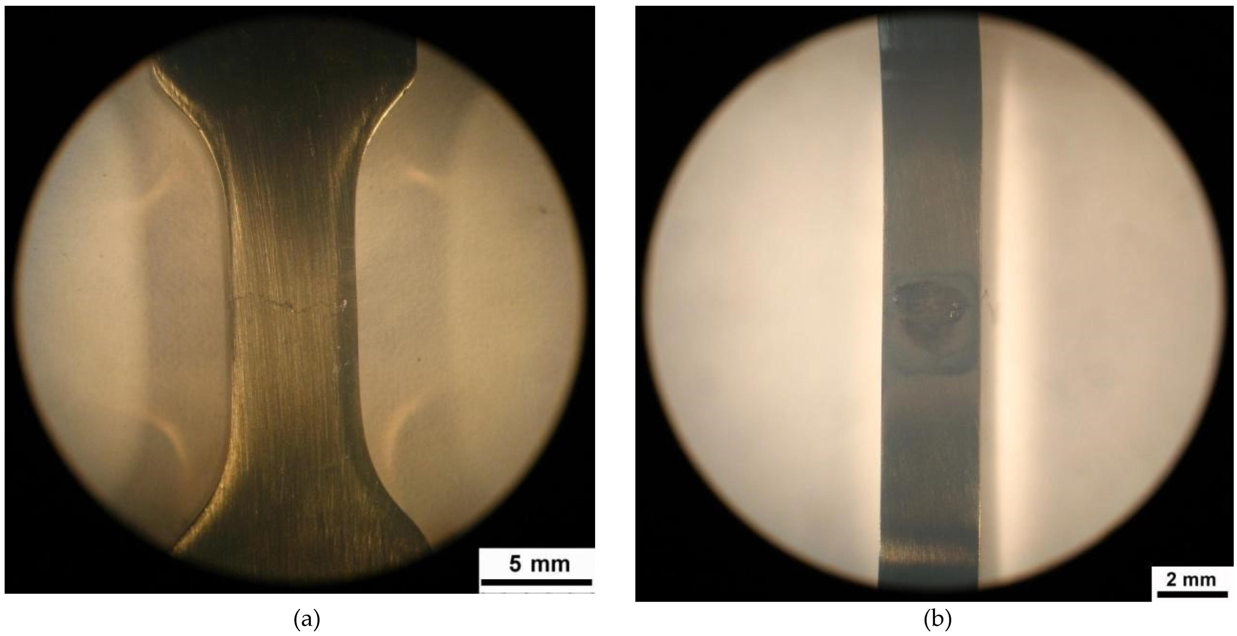 Metals 13 00067 g008