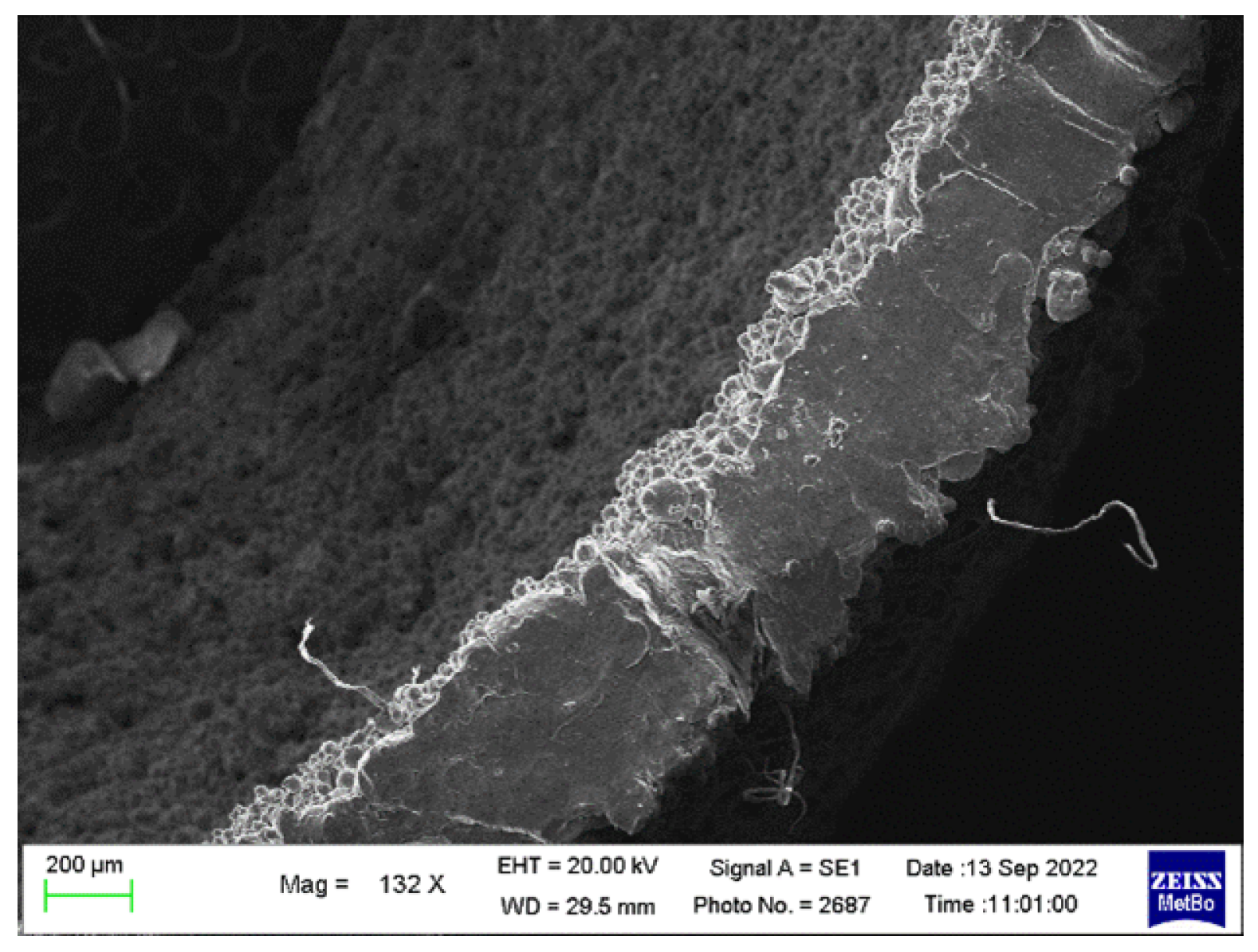 Metals 13 00126 g005