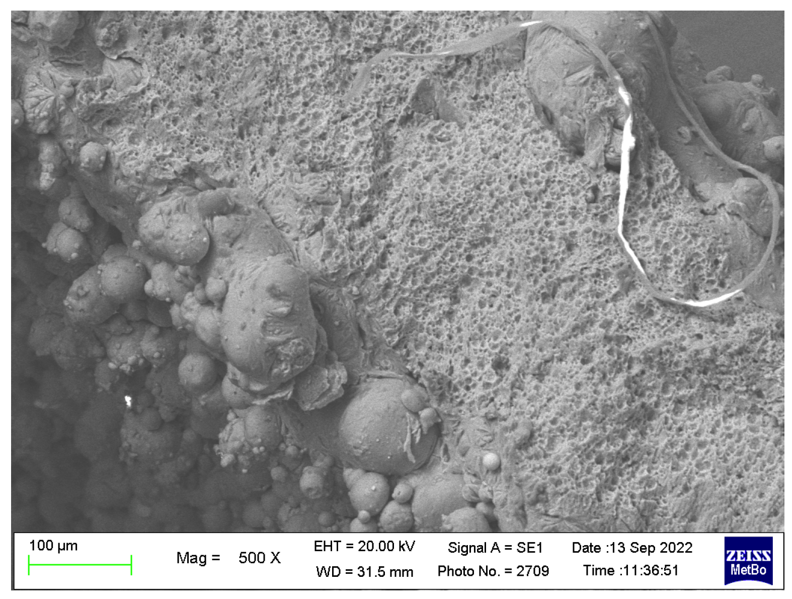 Metals 13 00126 g011