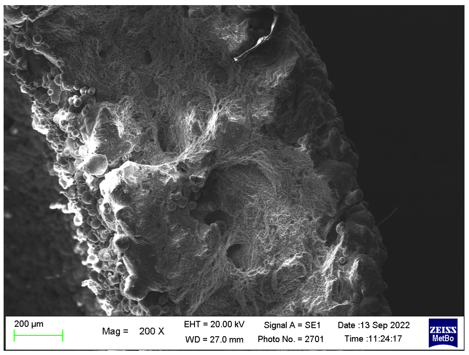 Metals 13 00126 g012
