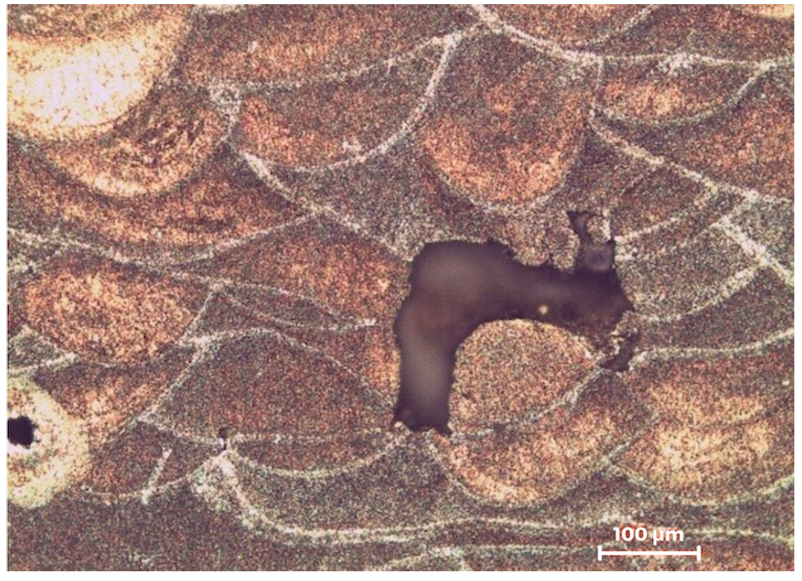 Metals 13 00126 g016