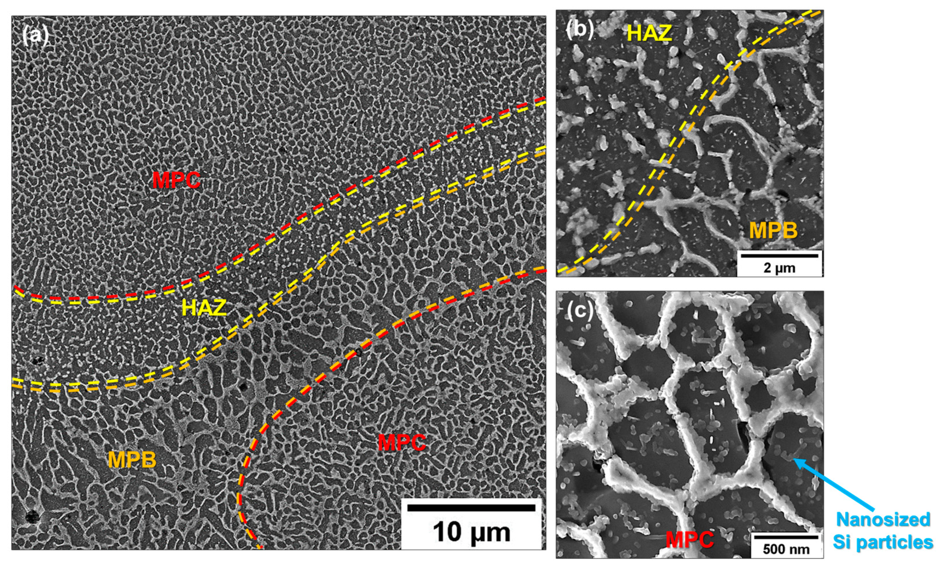 Metals 13 00263 g006