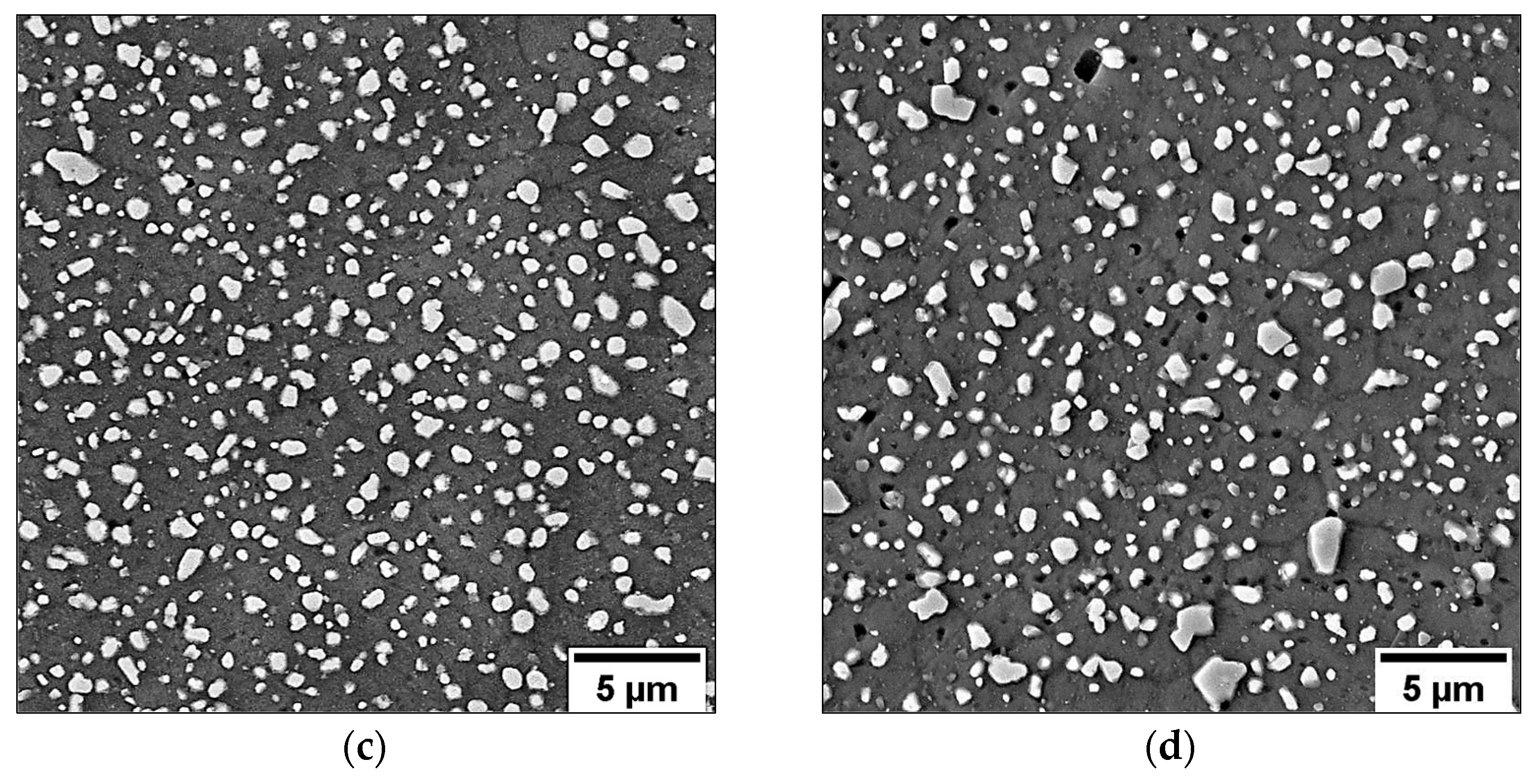 Metals 13 00263 g007b