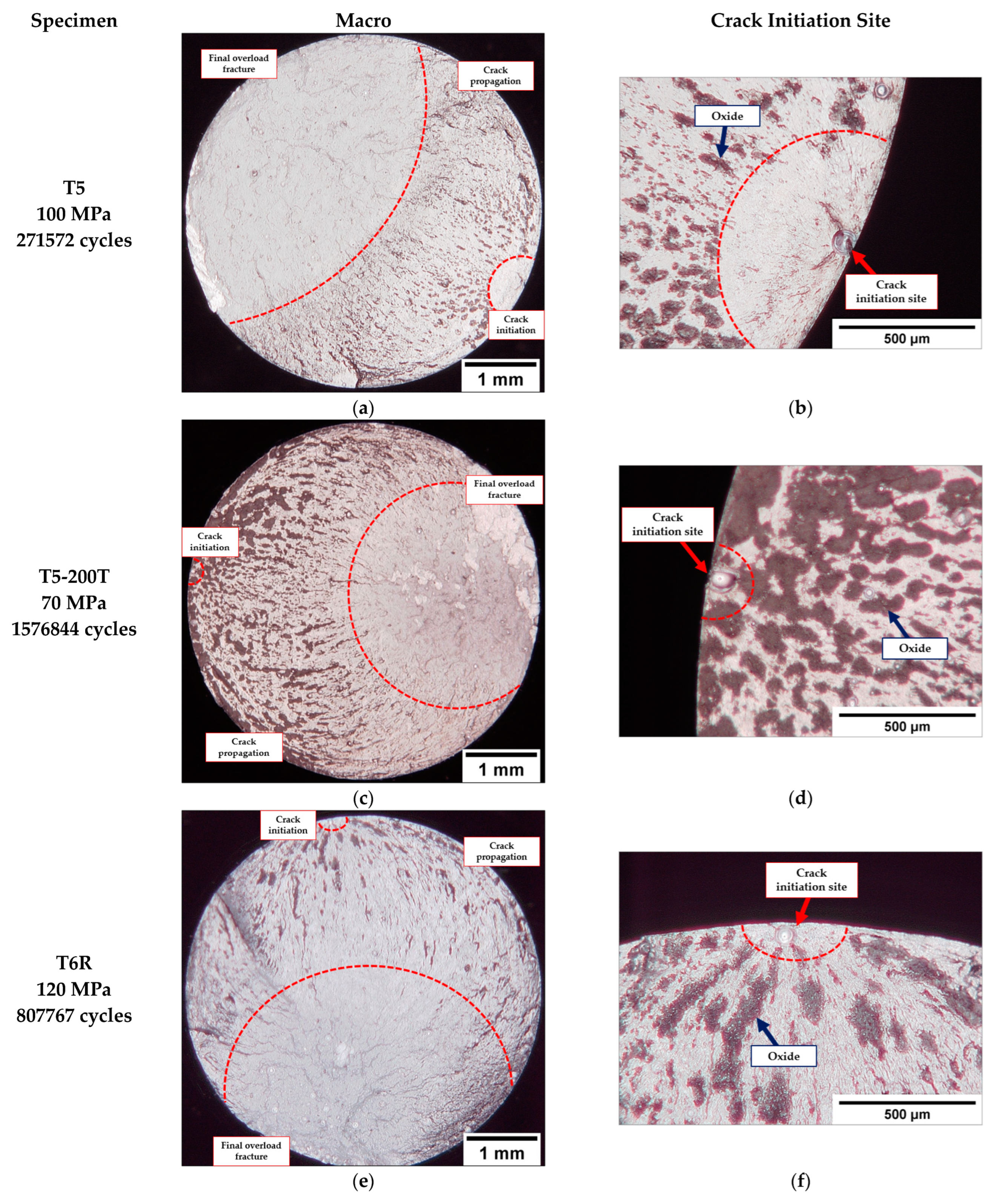 Metals 13 00263 g010a