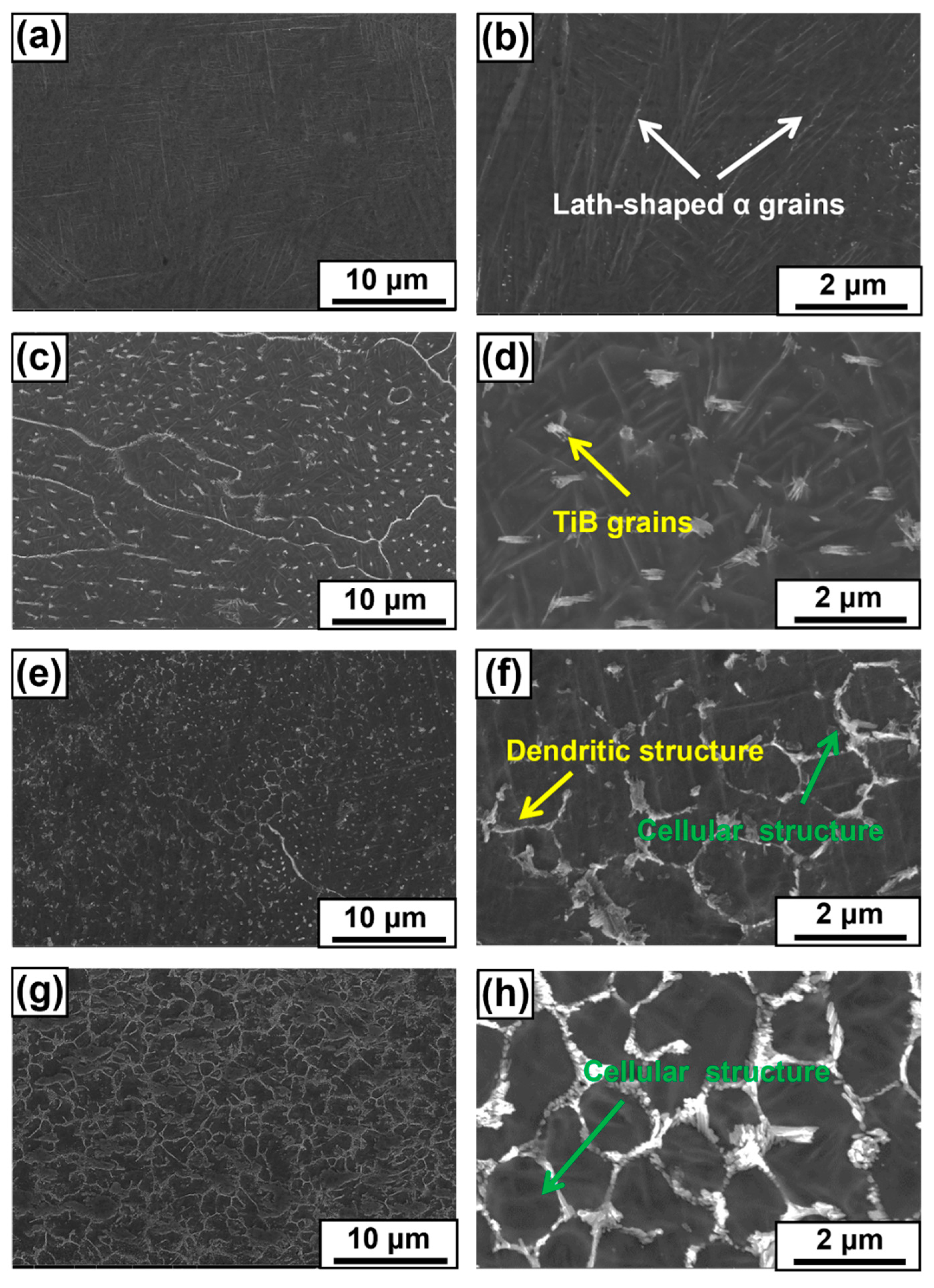 Metals 13 00264 g007