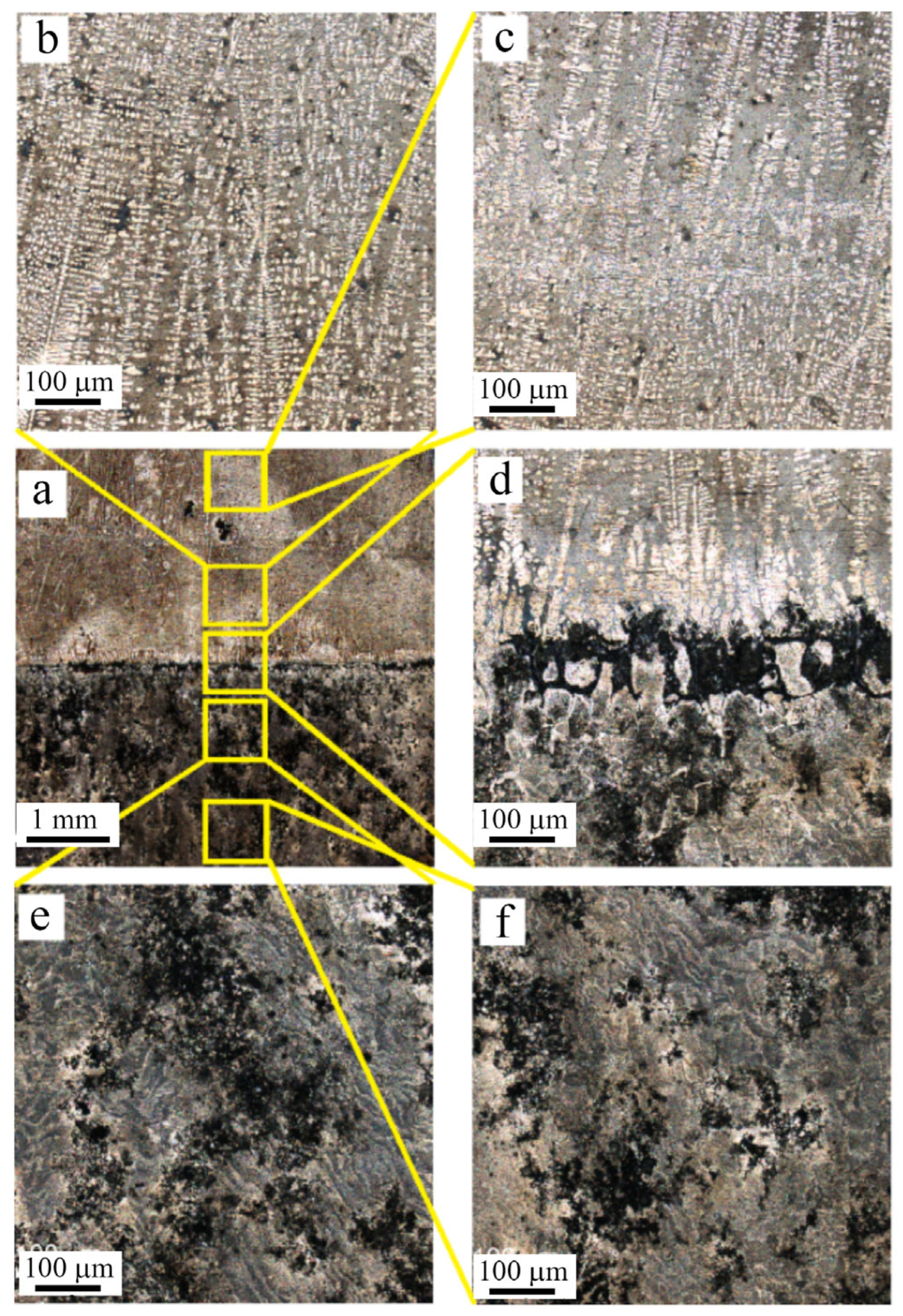 Metals 13 00279 g013