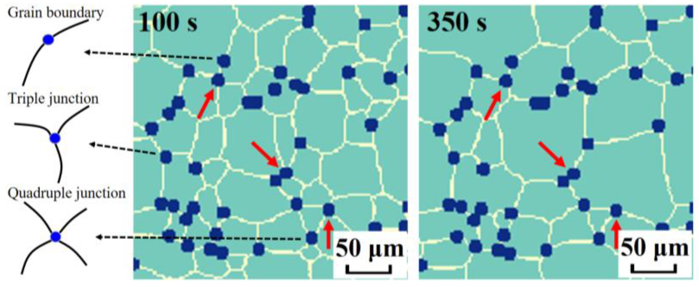 Metals 13 00281 g006