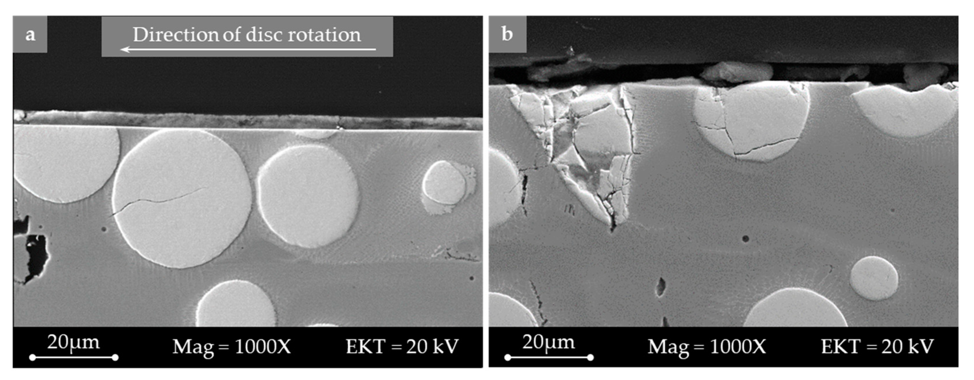 Metals 13 00300 g020