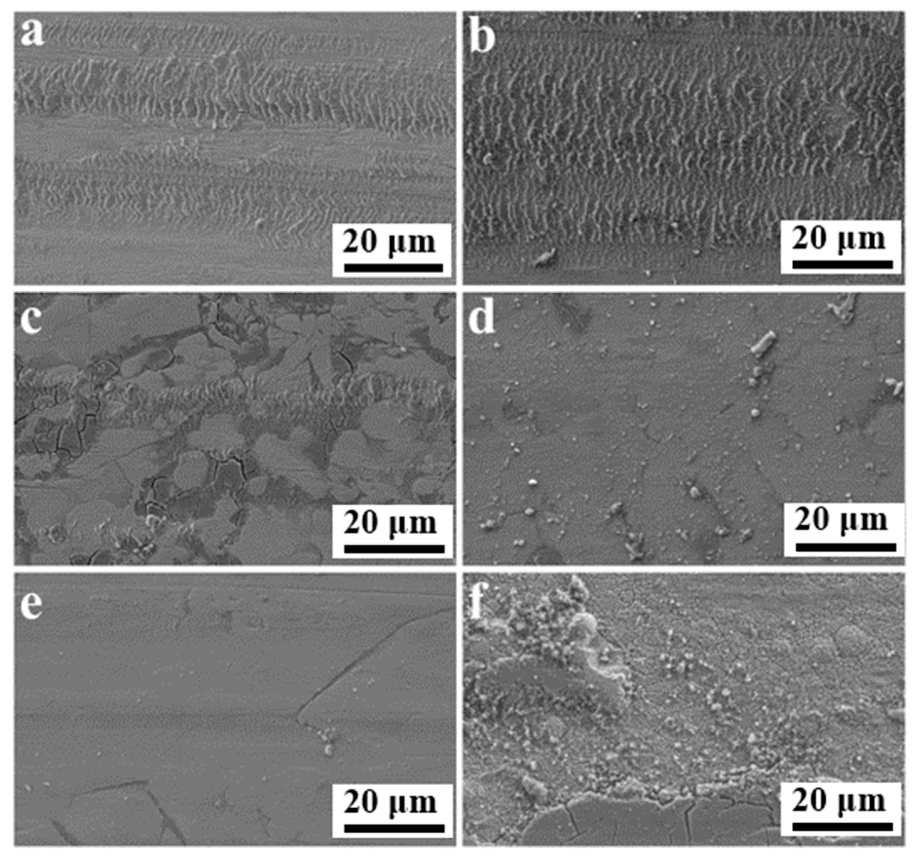 Metals 13 00315 g011