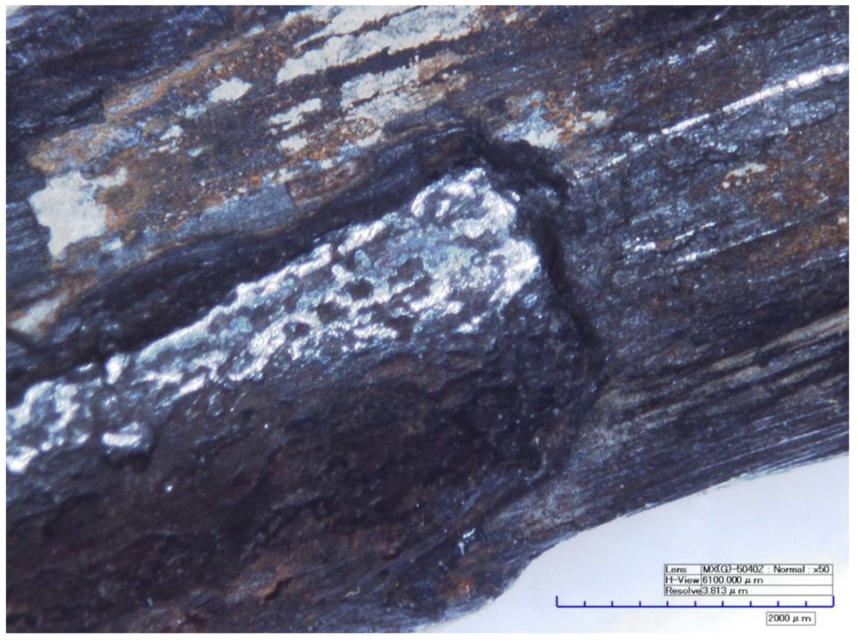 Metals 13 00387 g005