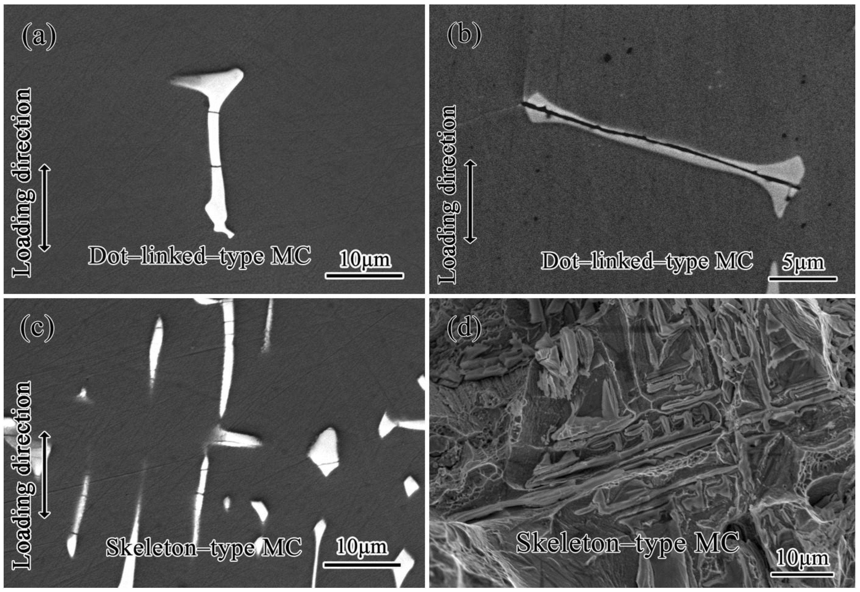 Metals 13 00402 g007