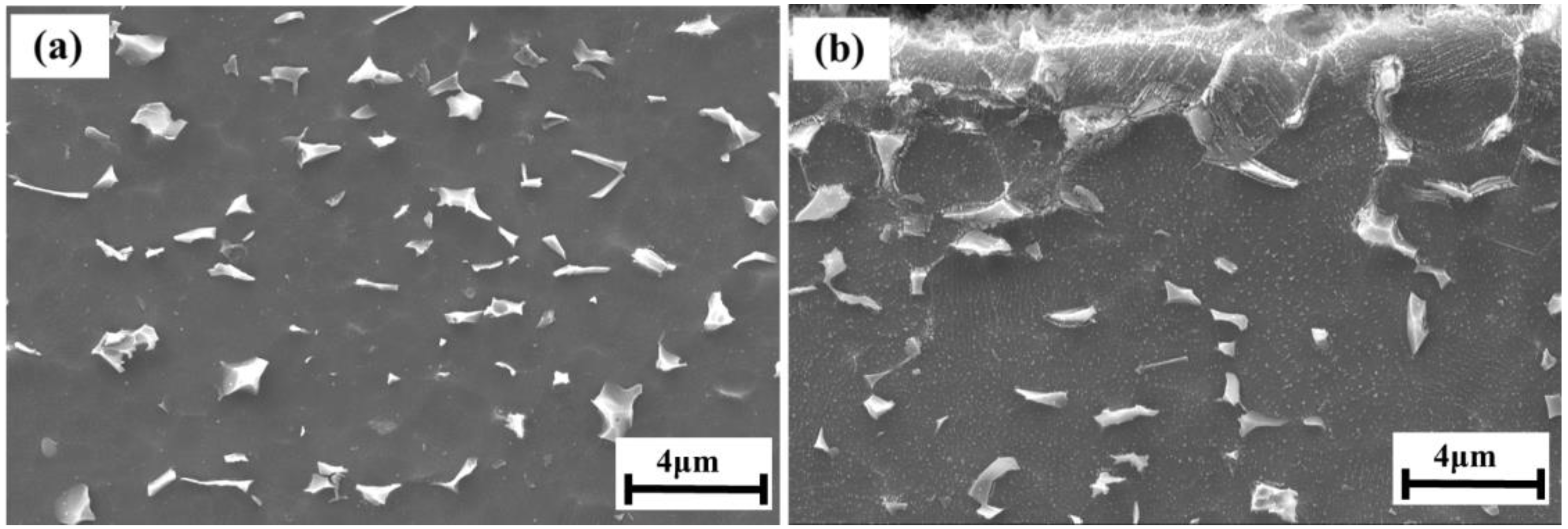 Metals 13 00449 g004 Metals 13 00449 g004