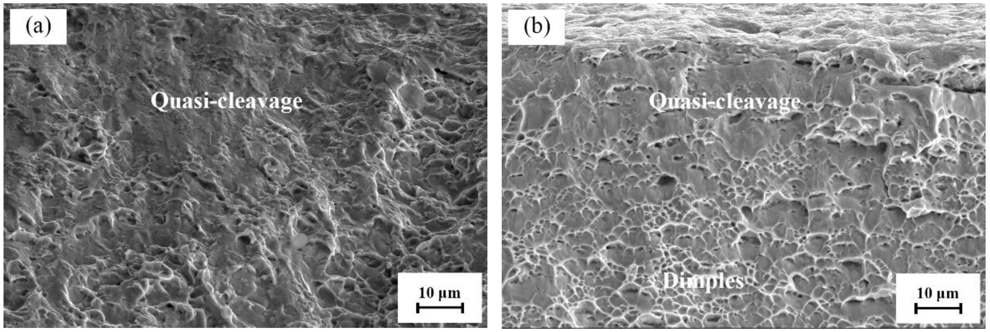 Metals 13 00449 g013 Metals 13 00449 g013