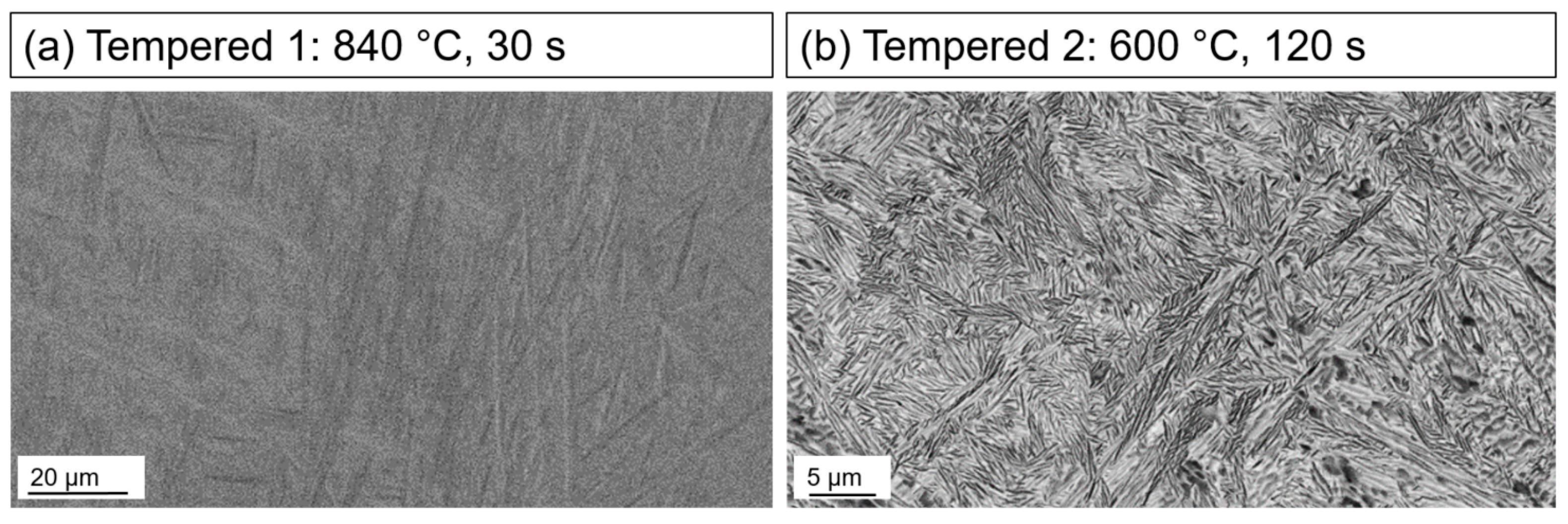 Metals 13 00484 g005