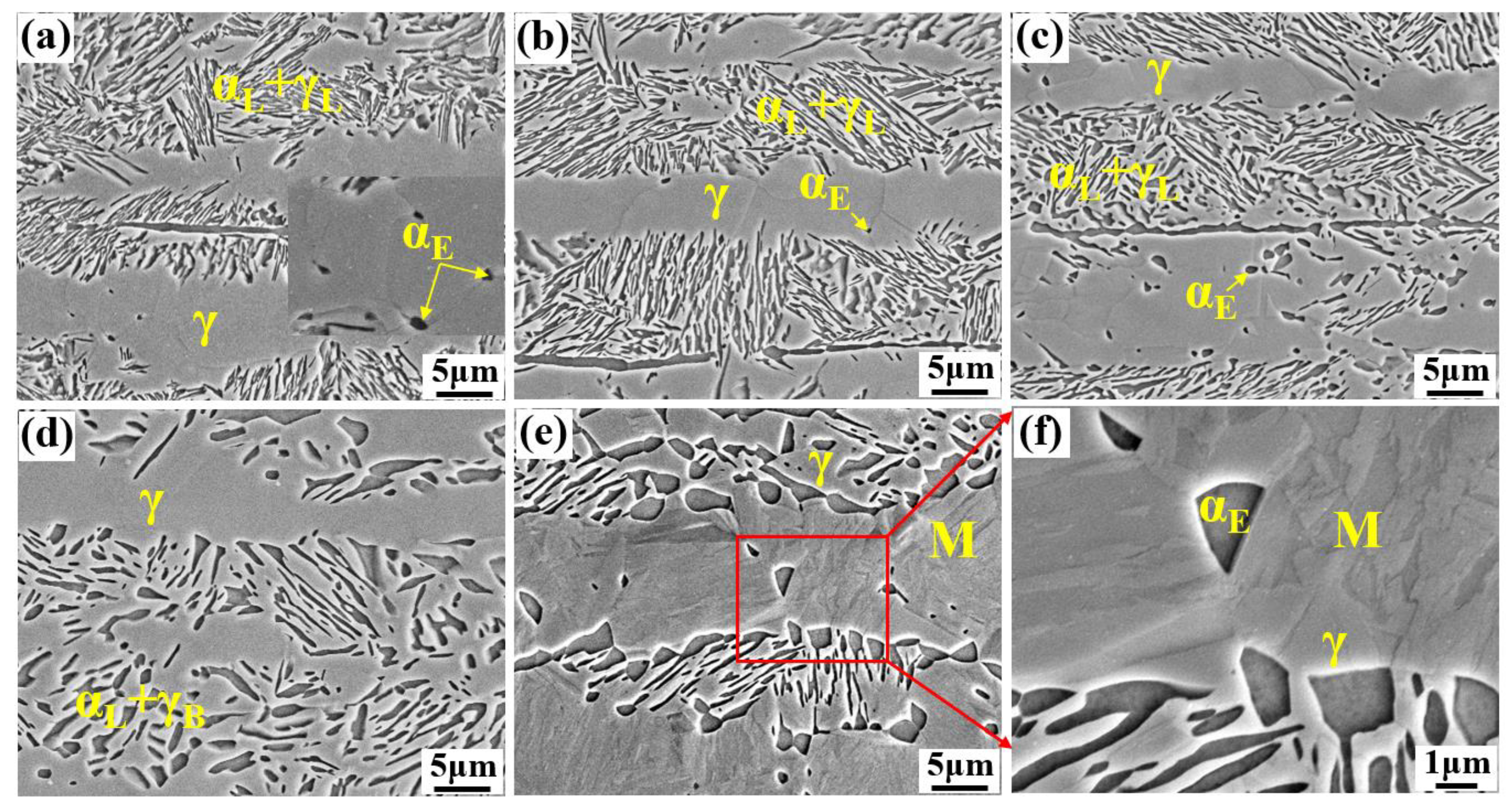 Metals 13 00499 g004