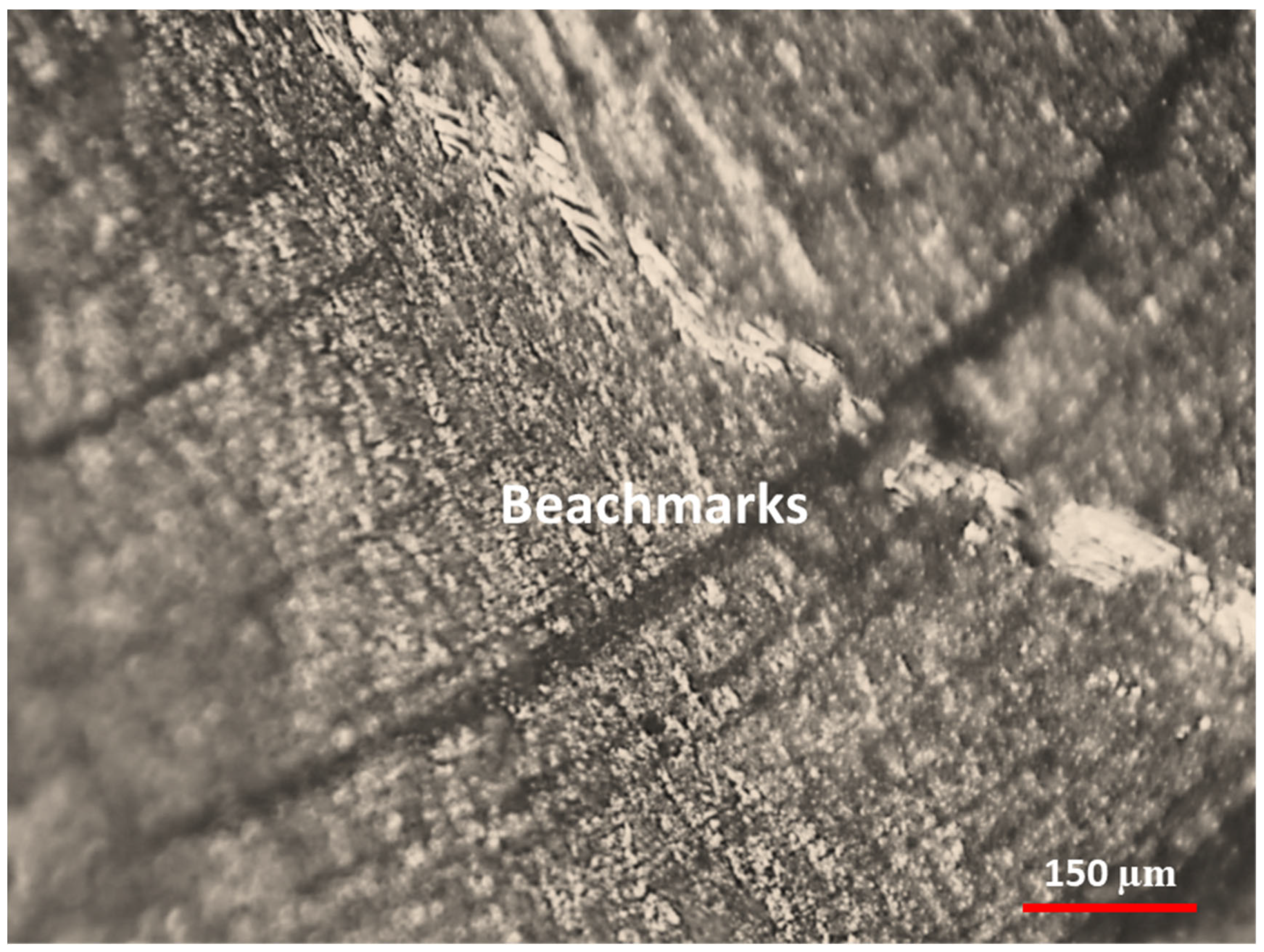 Metals 13 00506 g009 Metals 13 00506 g009