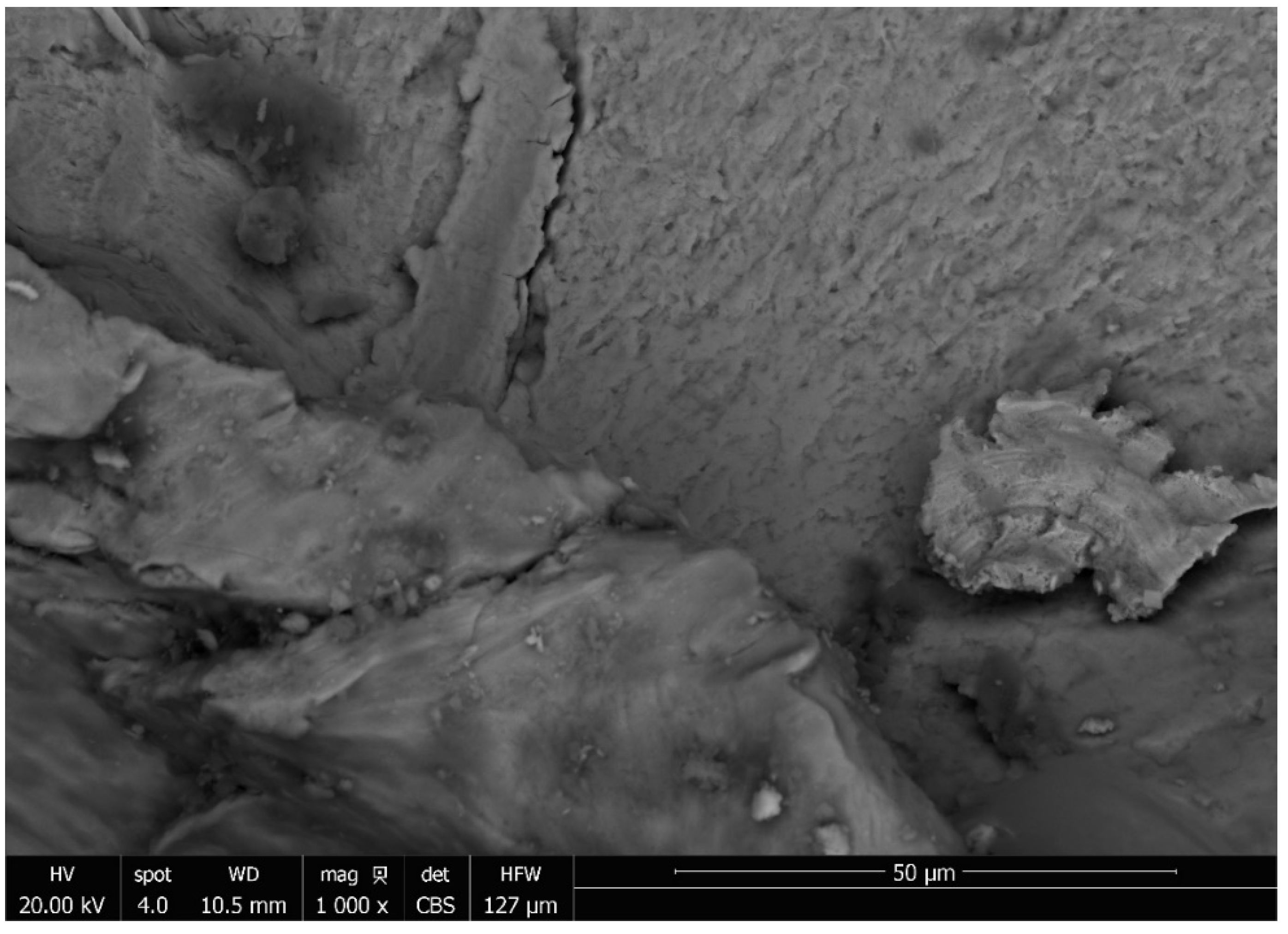 Metals 13 00506 g013 Metals 13 00506 g013