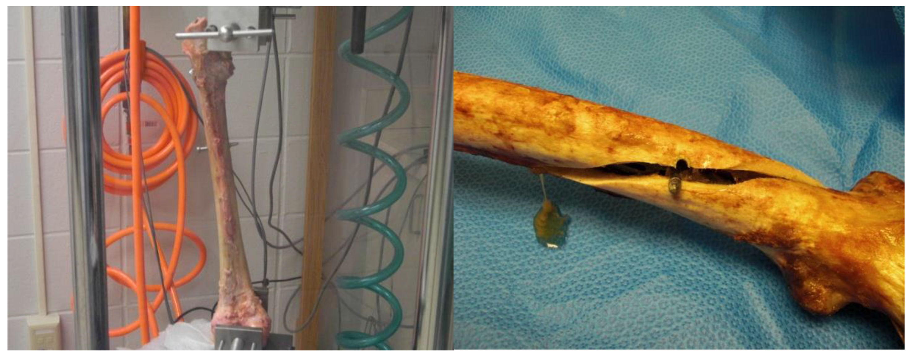 Metals 13 00509 g006 Metals 13 00509 g006