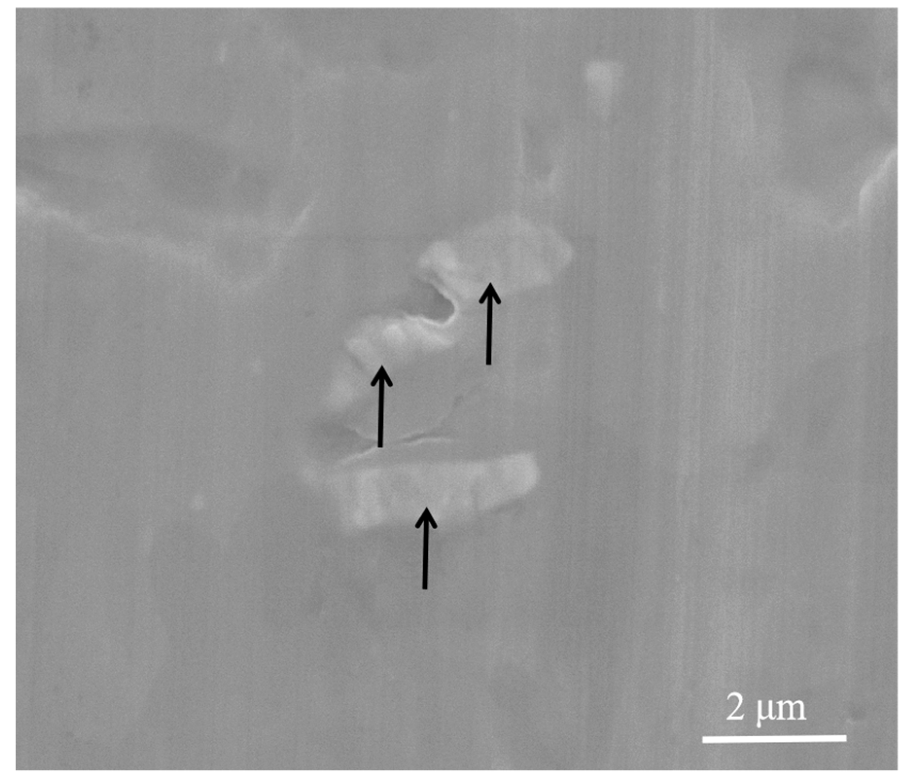 Metals 13 00510 g001 Metals 13 00510 g001