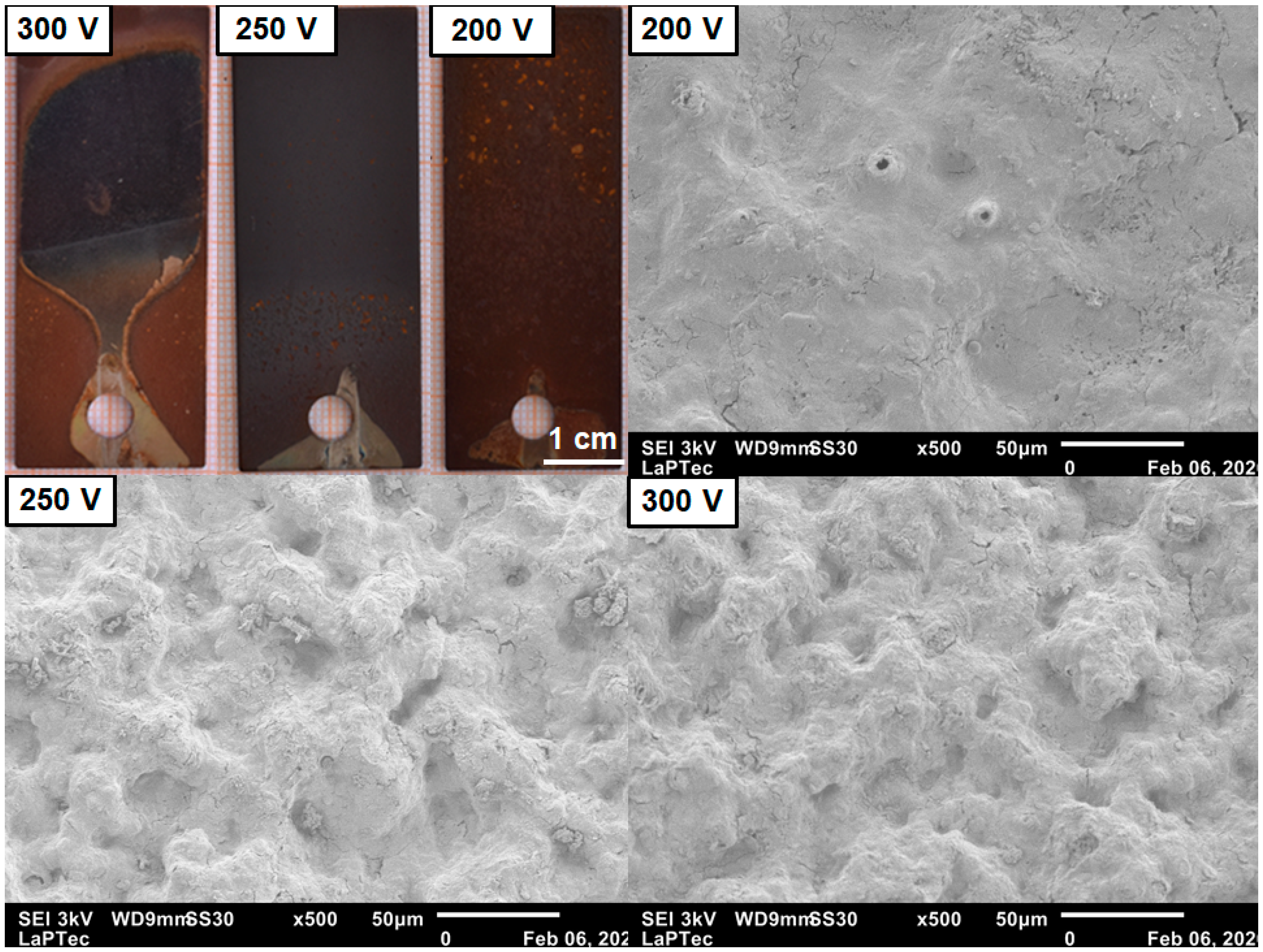 Metals 13 00520 g002