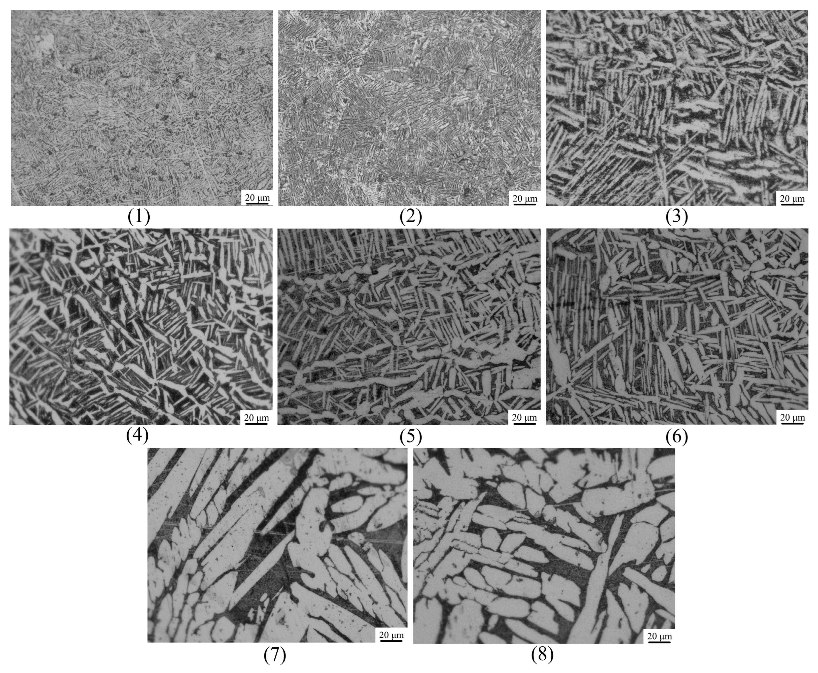 Metals 13 00527 g015