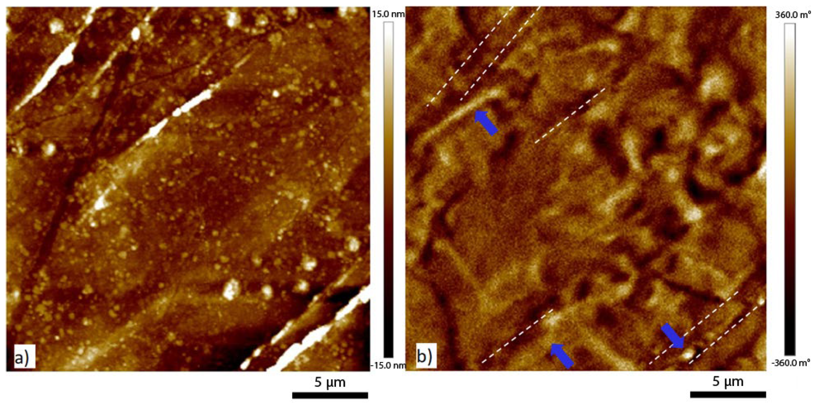 Metals 13 00546 g007 Metals 13 00546 g007