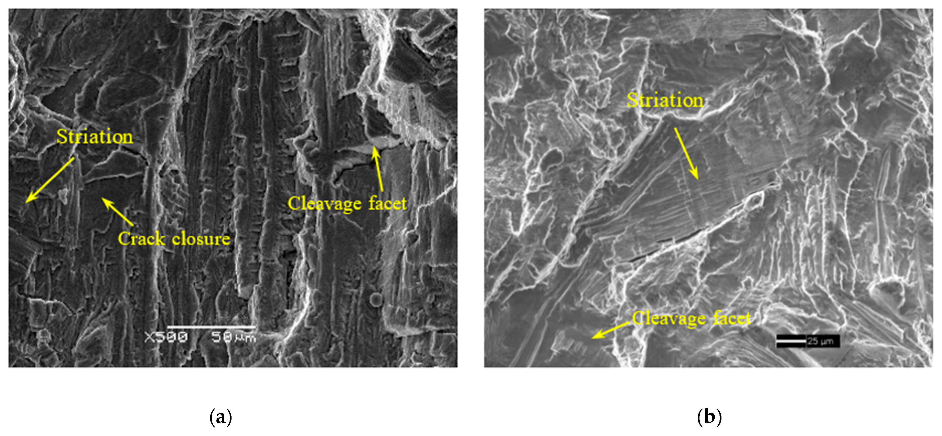 Metals 13 00553 g010 Metals 13 00553 g010