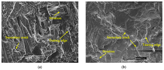 Metals | Free Full-Text | Dwell Fatigue Crack Growth Behavior Of CP-Ti ...