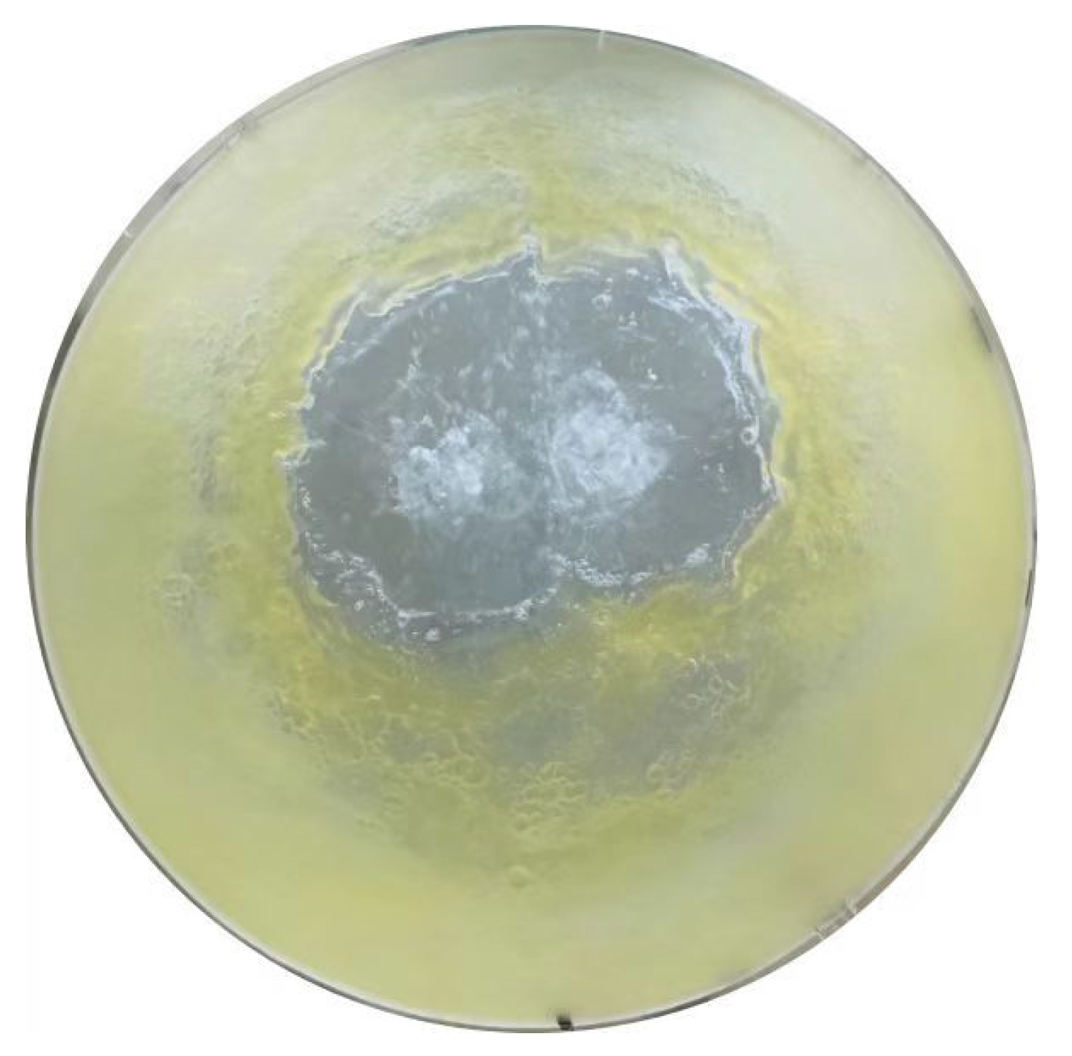 Metals 13 00574 g005