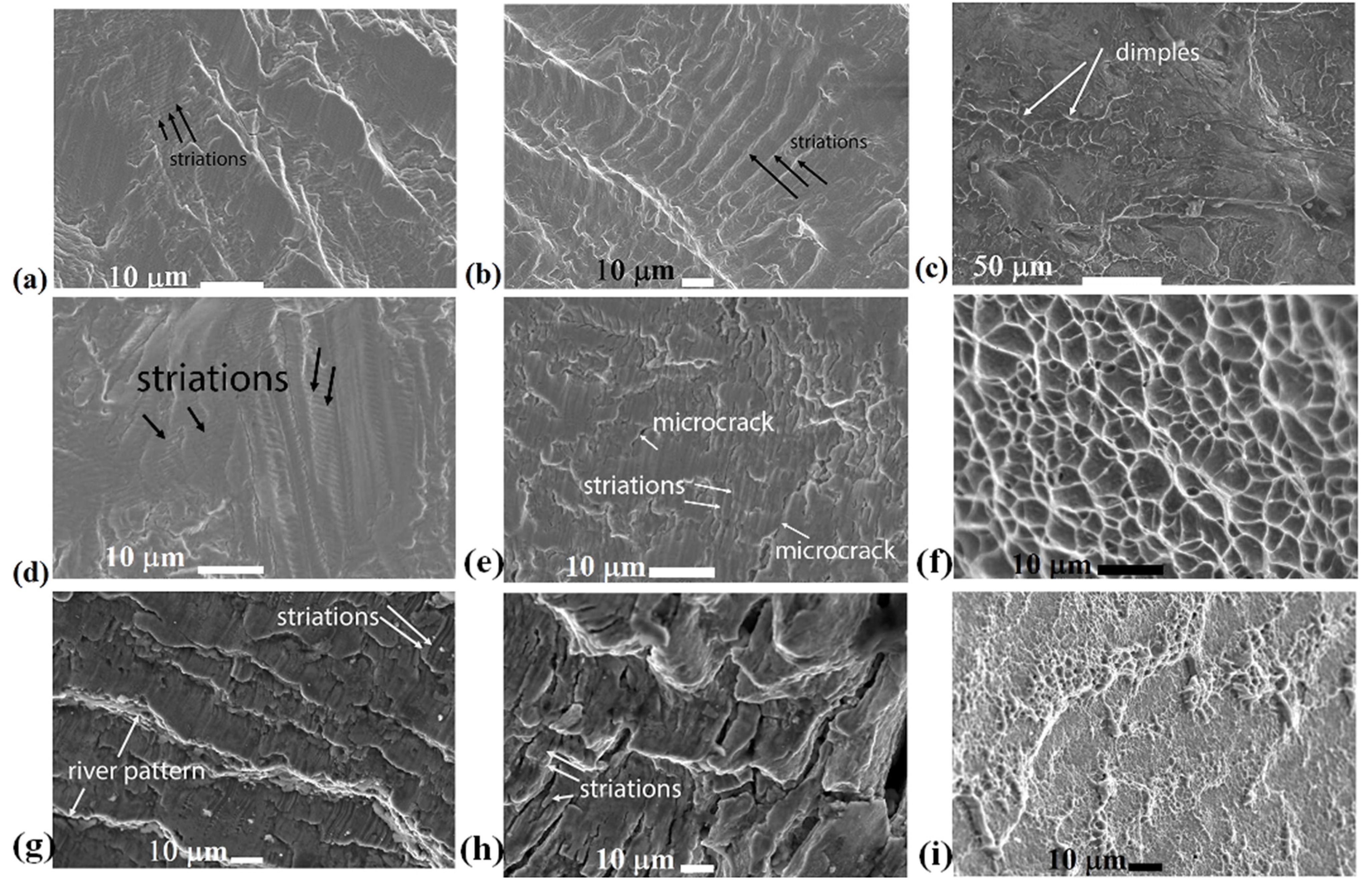 Metals 13 00580 g009