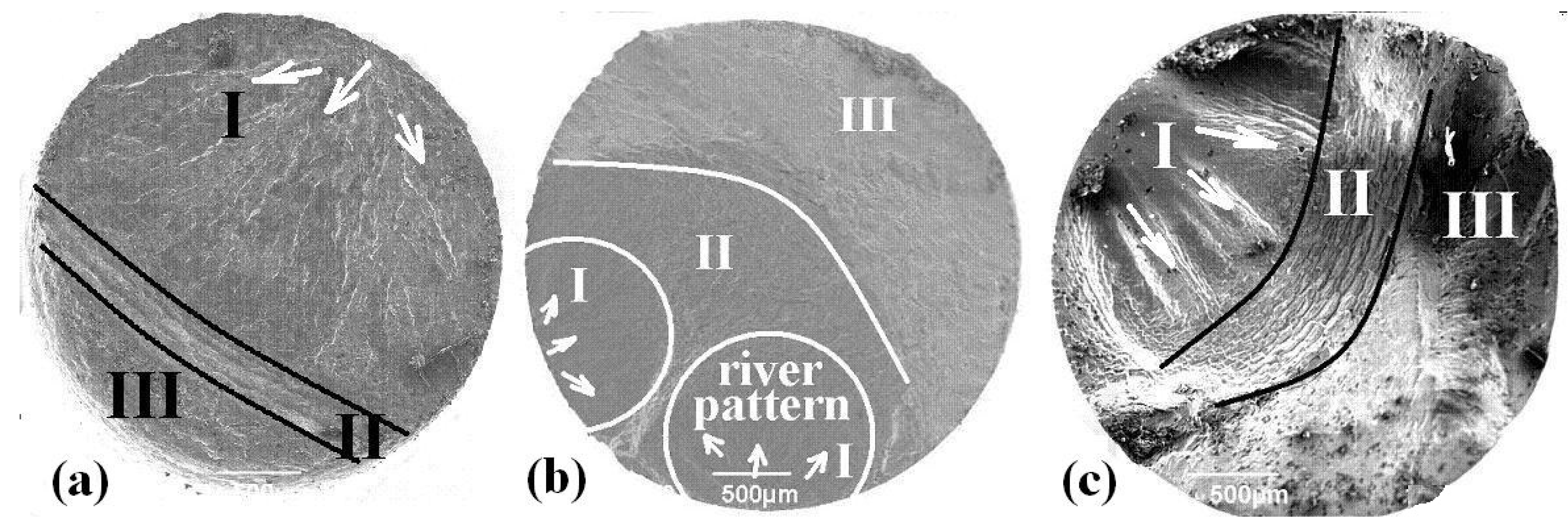 Metals 13 00580 g010