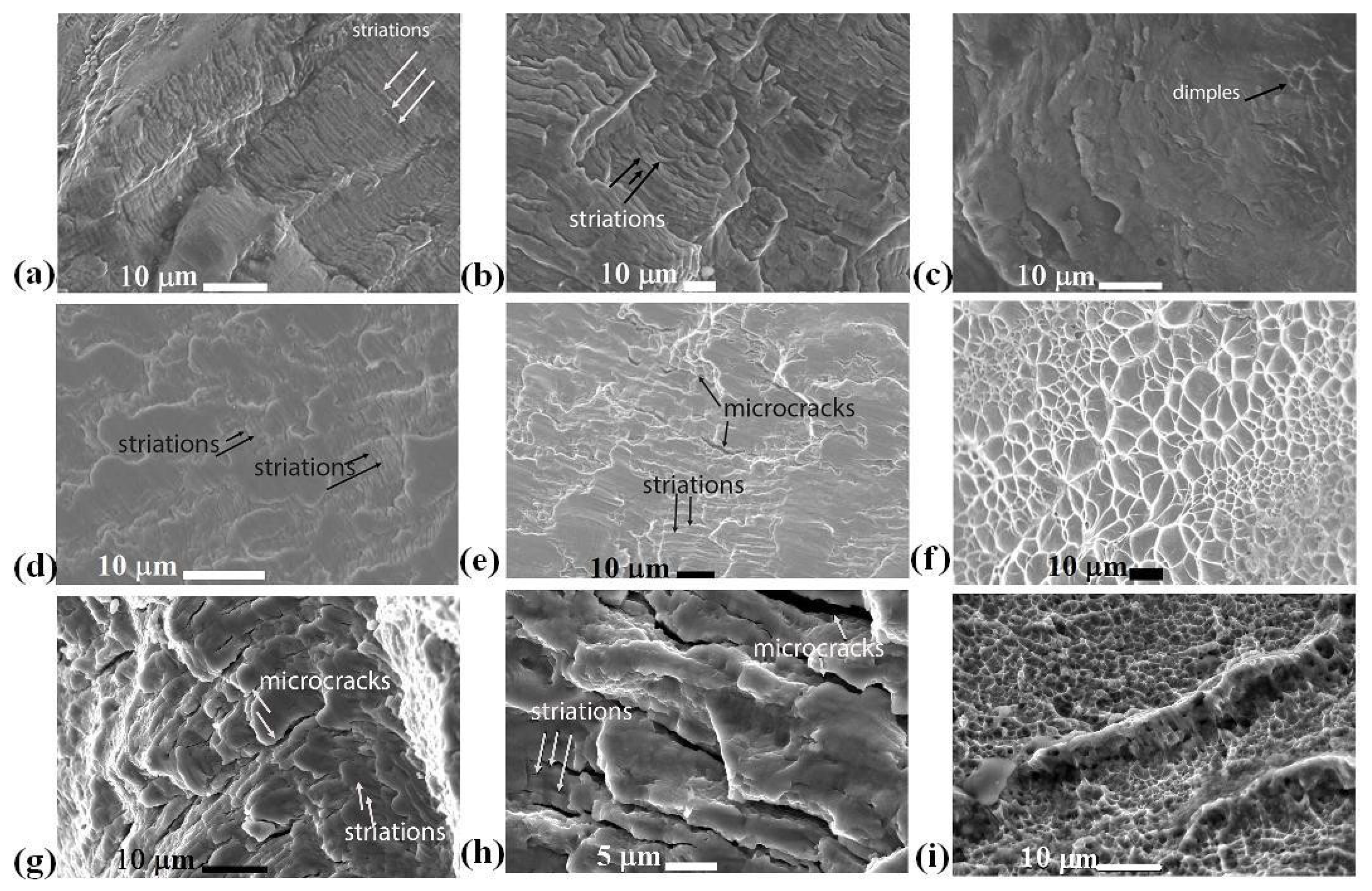 Metals 13 00580 g011