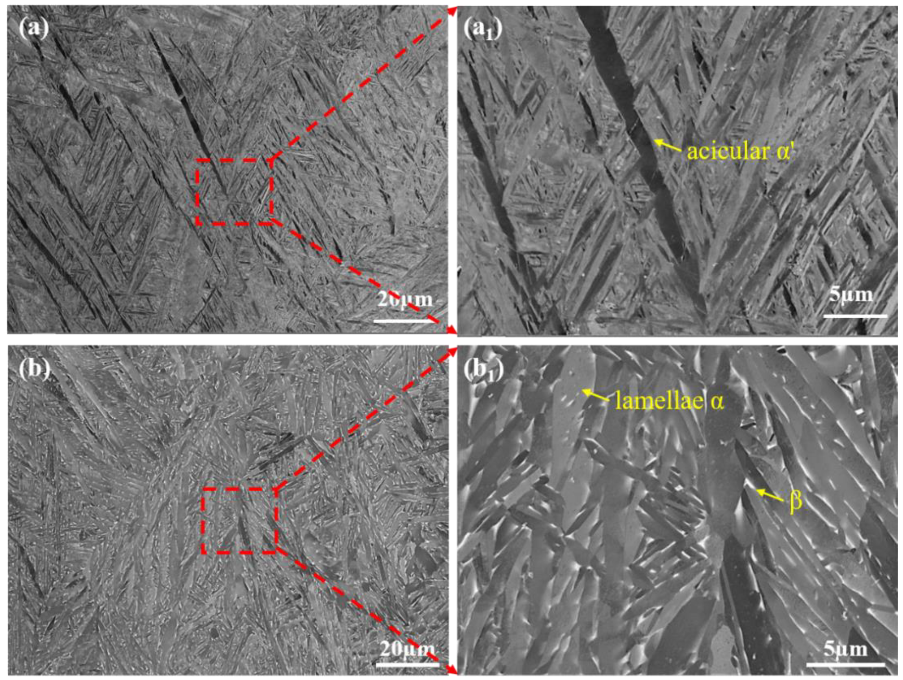 Metals 13 00604 g010