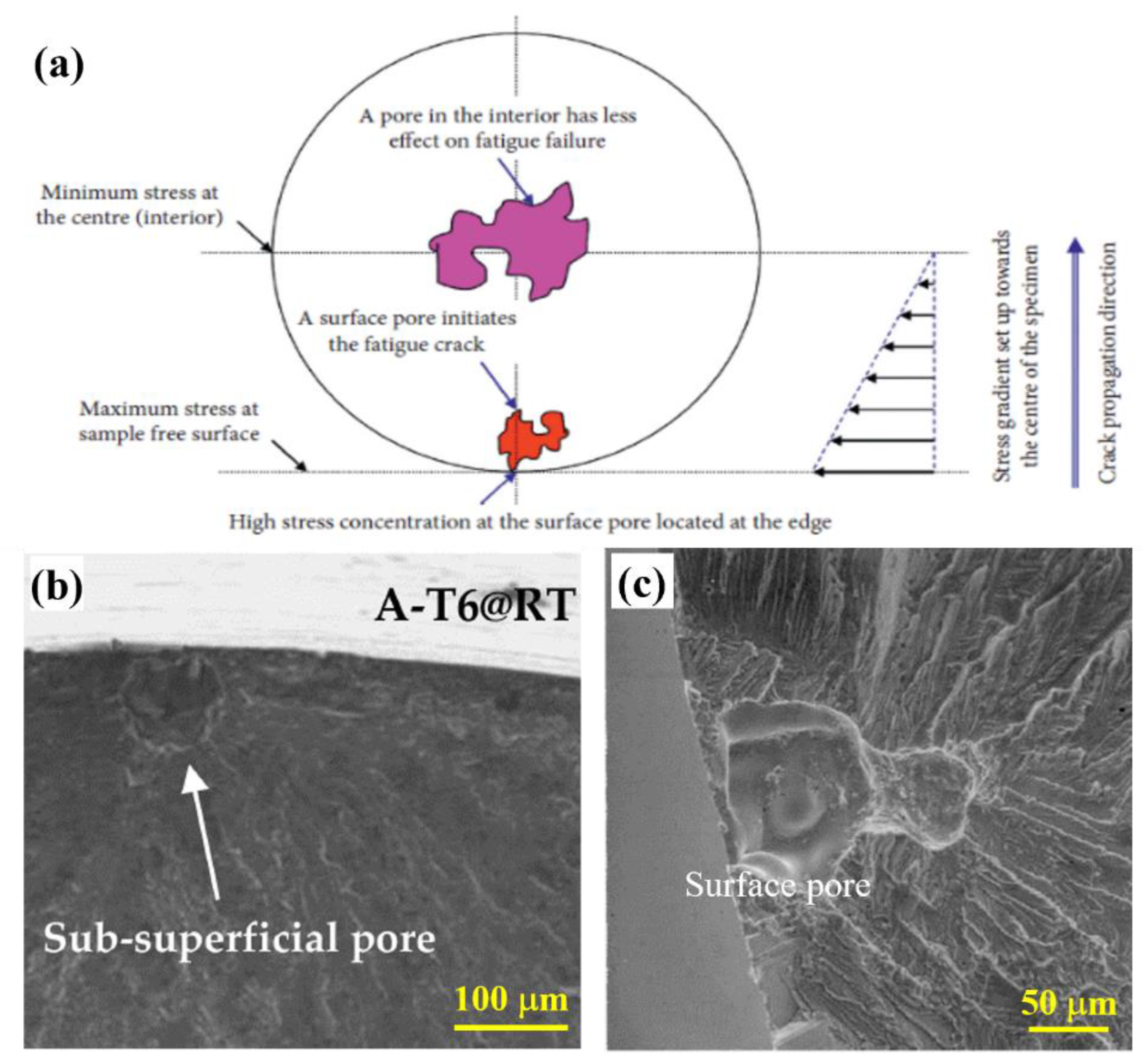 Metals 13 00609 g013