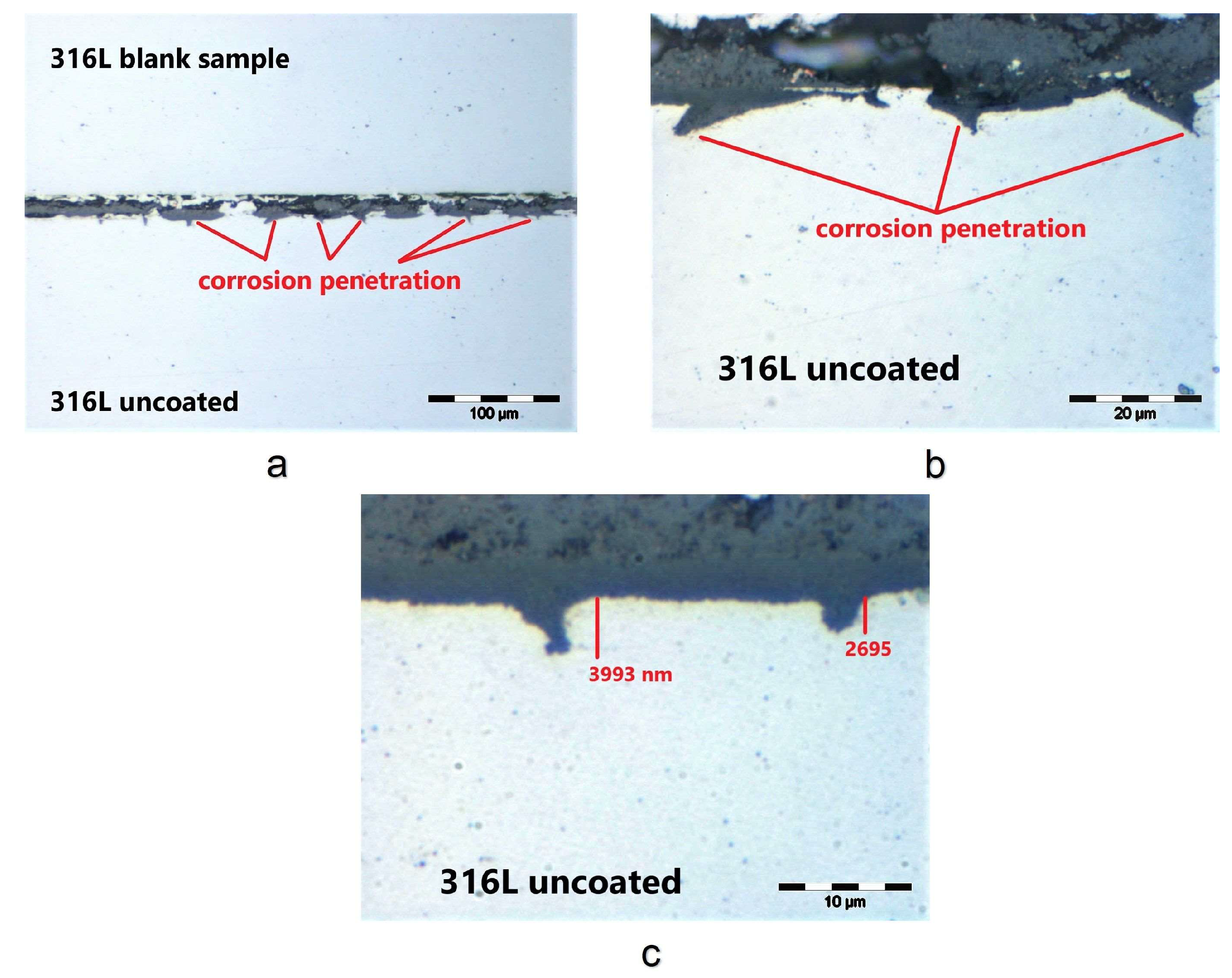 Metals 13 00616 g012