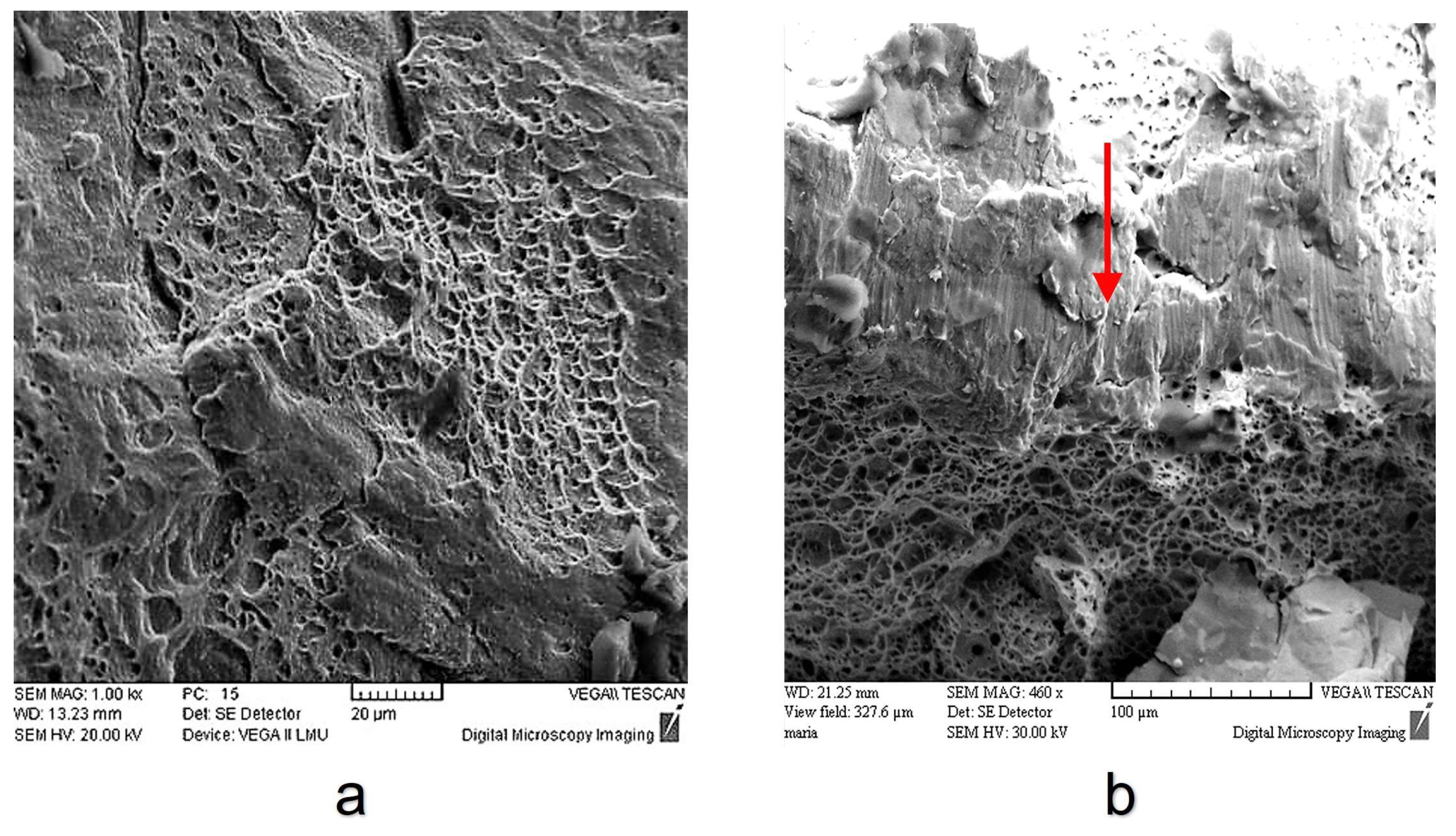 Metals 13 00616 g018